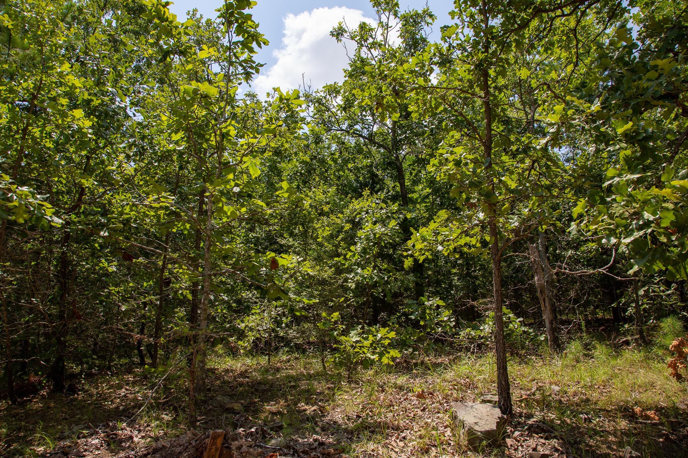 Tyler Stone Ranch Tract 63 photo 2