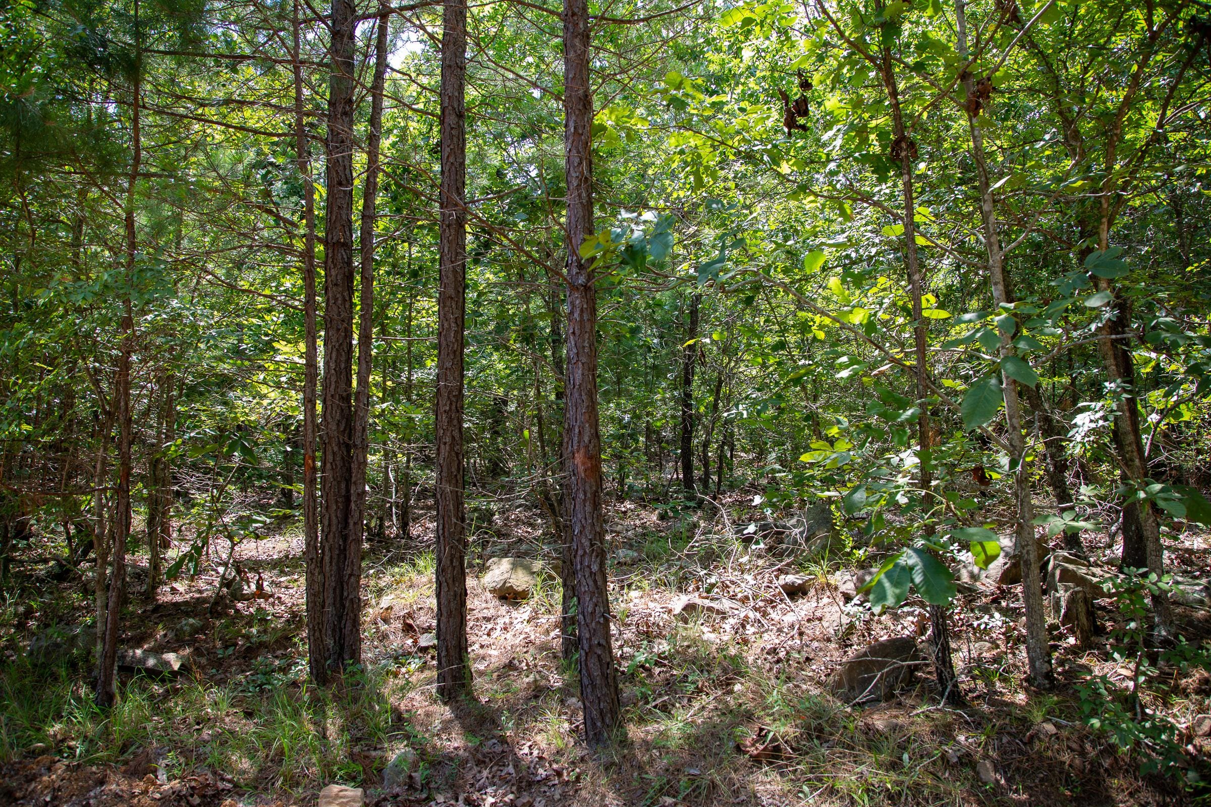 Tyler Stone Ranch Tract 63 photo 1
