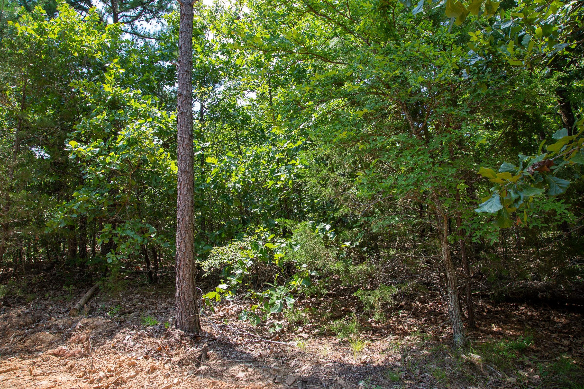 Tyler Stone Ranch Tract 63 photo 9
