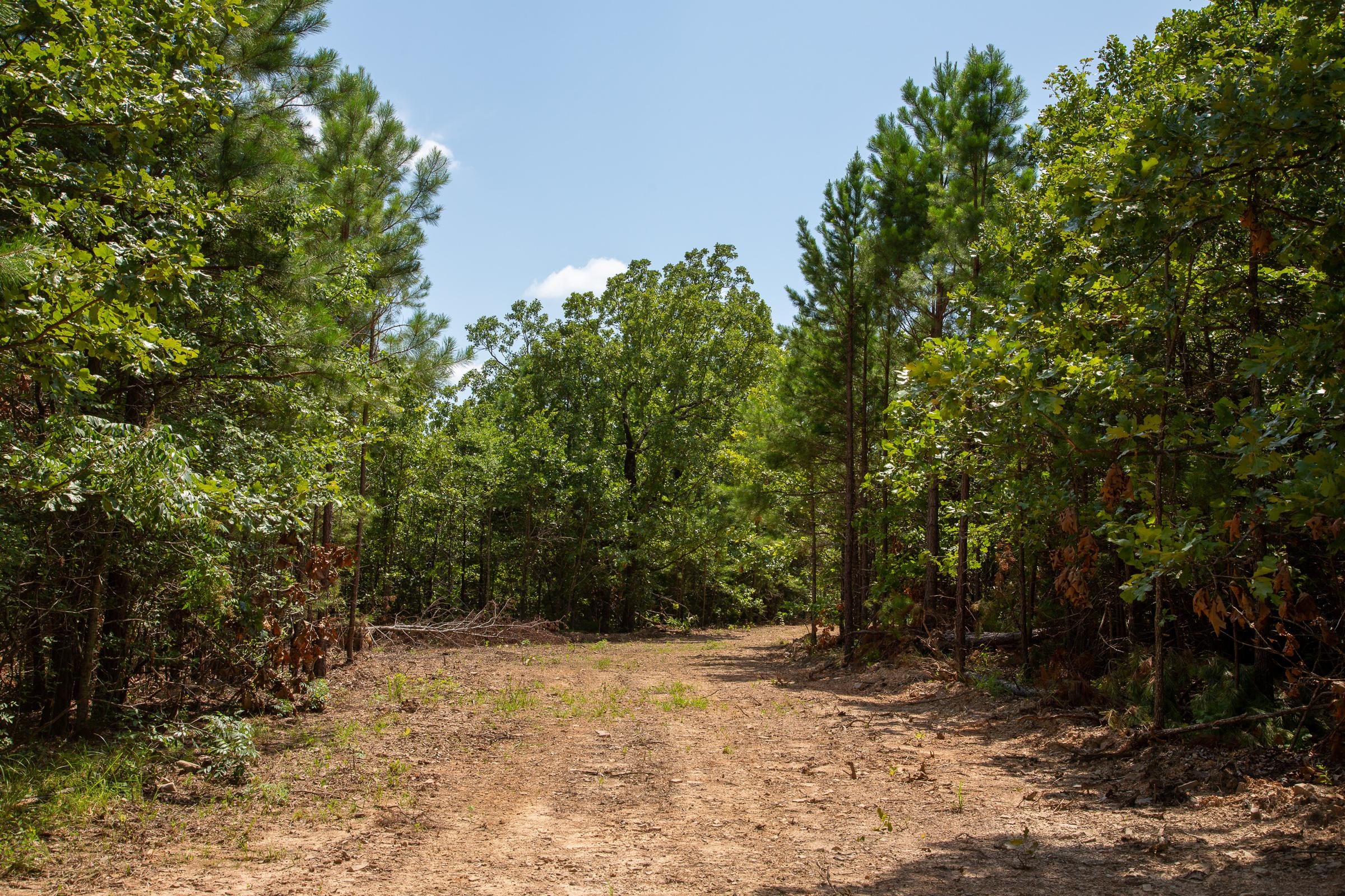 Tyler Stone Ranch Tract 63 photo 10