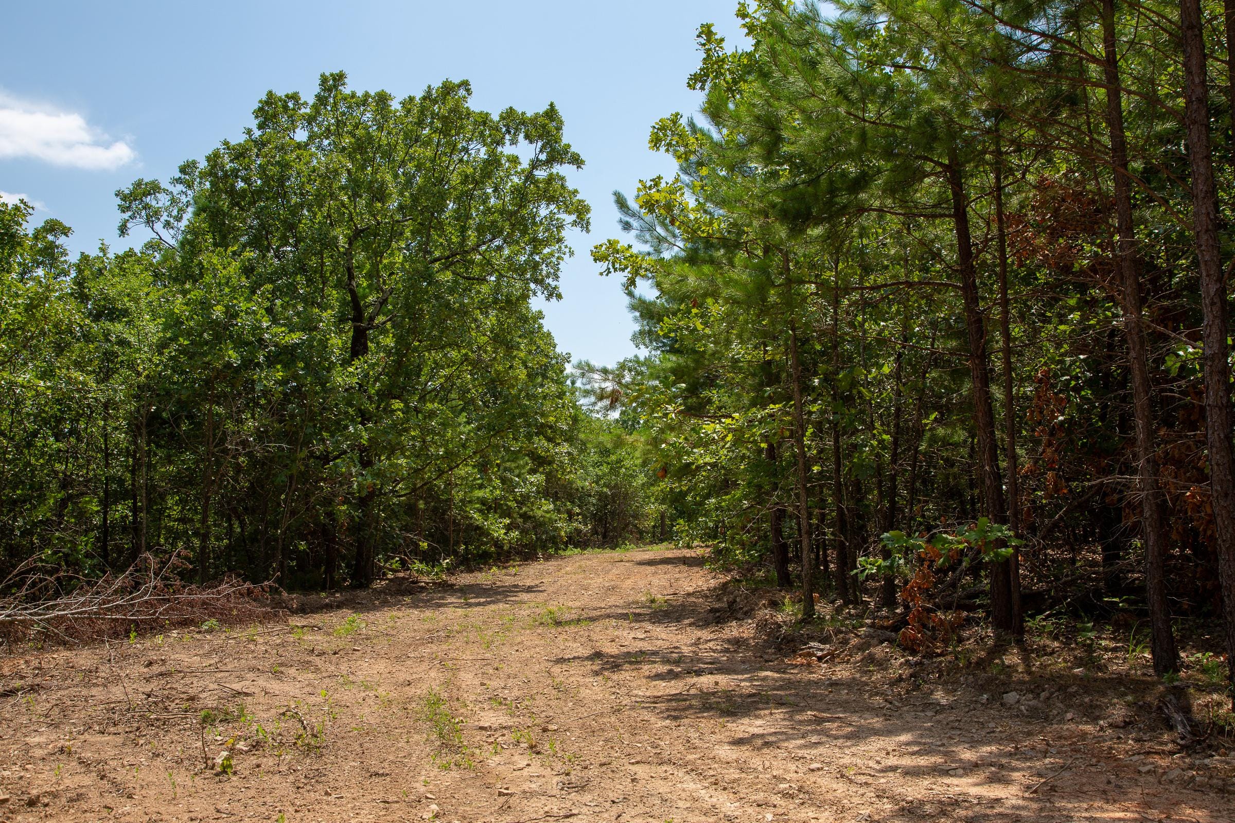 Tyler Stone Ranch Tract 63 photo 13