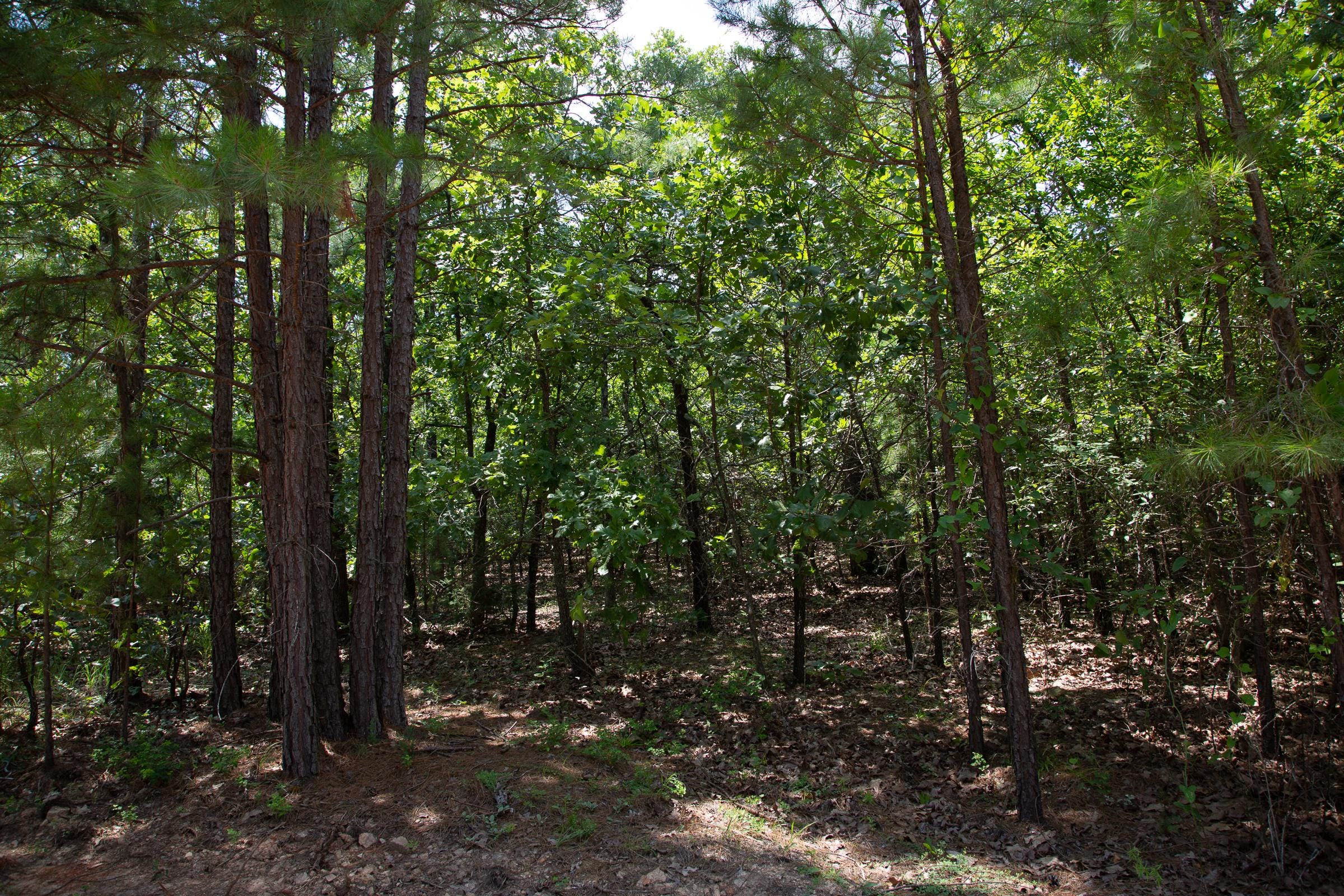 Tyler Stone Ranch Tract 63 photo 11