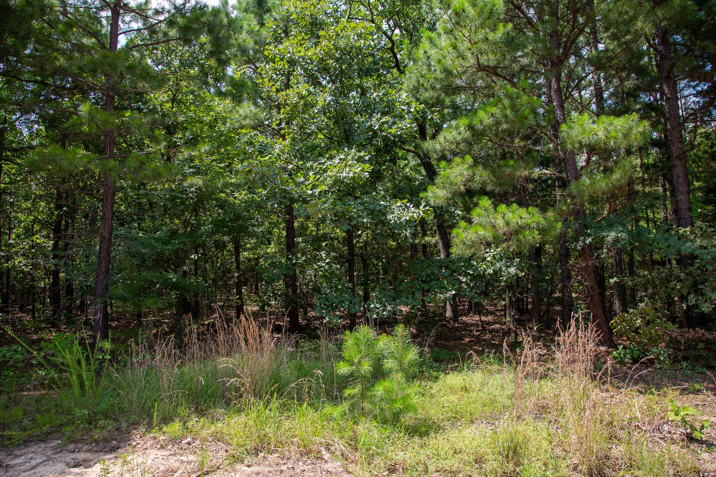 Tyler Stone Ranch Tract 63 photo 12