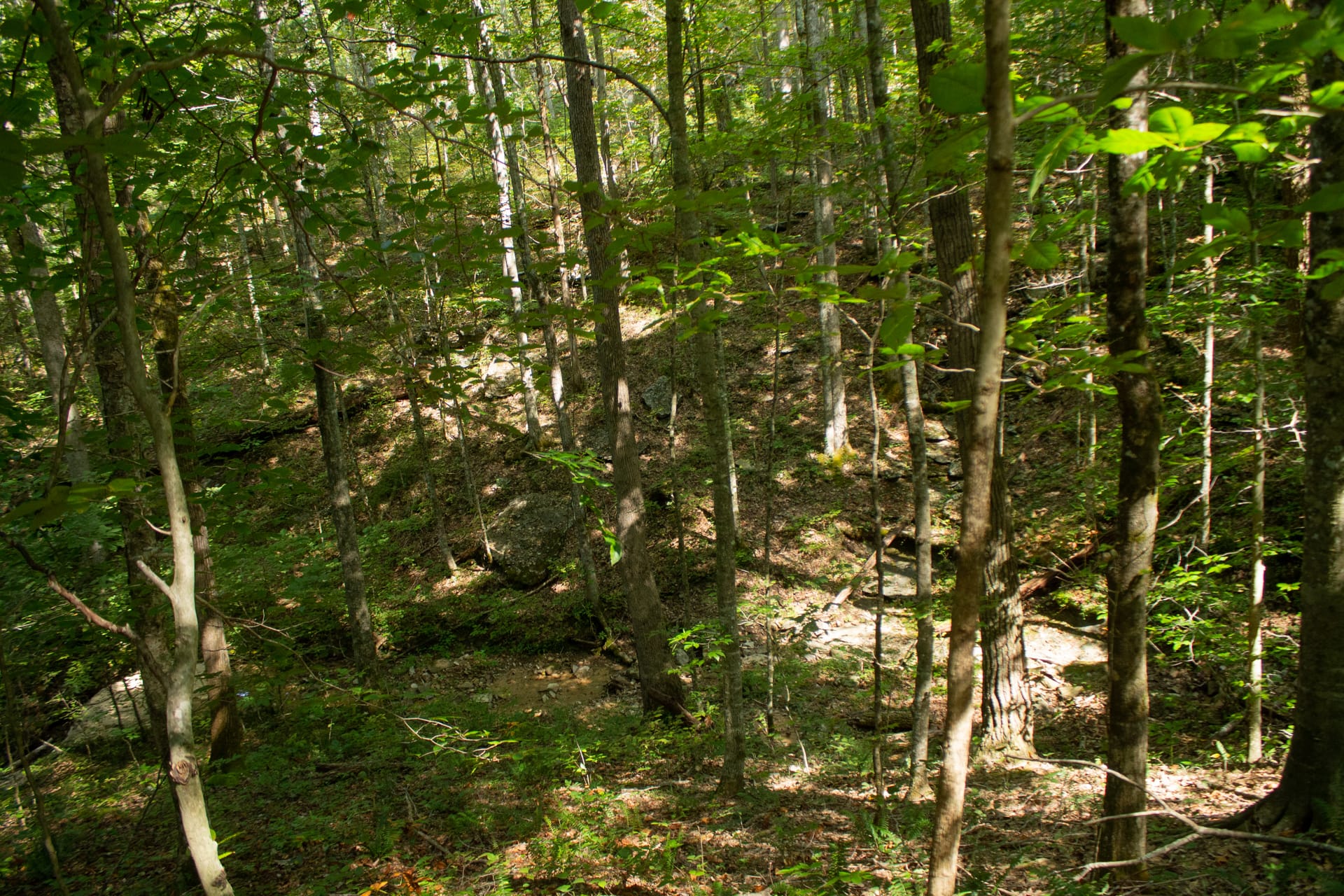 Bluegrass Ridge Tract 2 photo 6