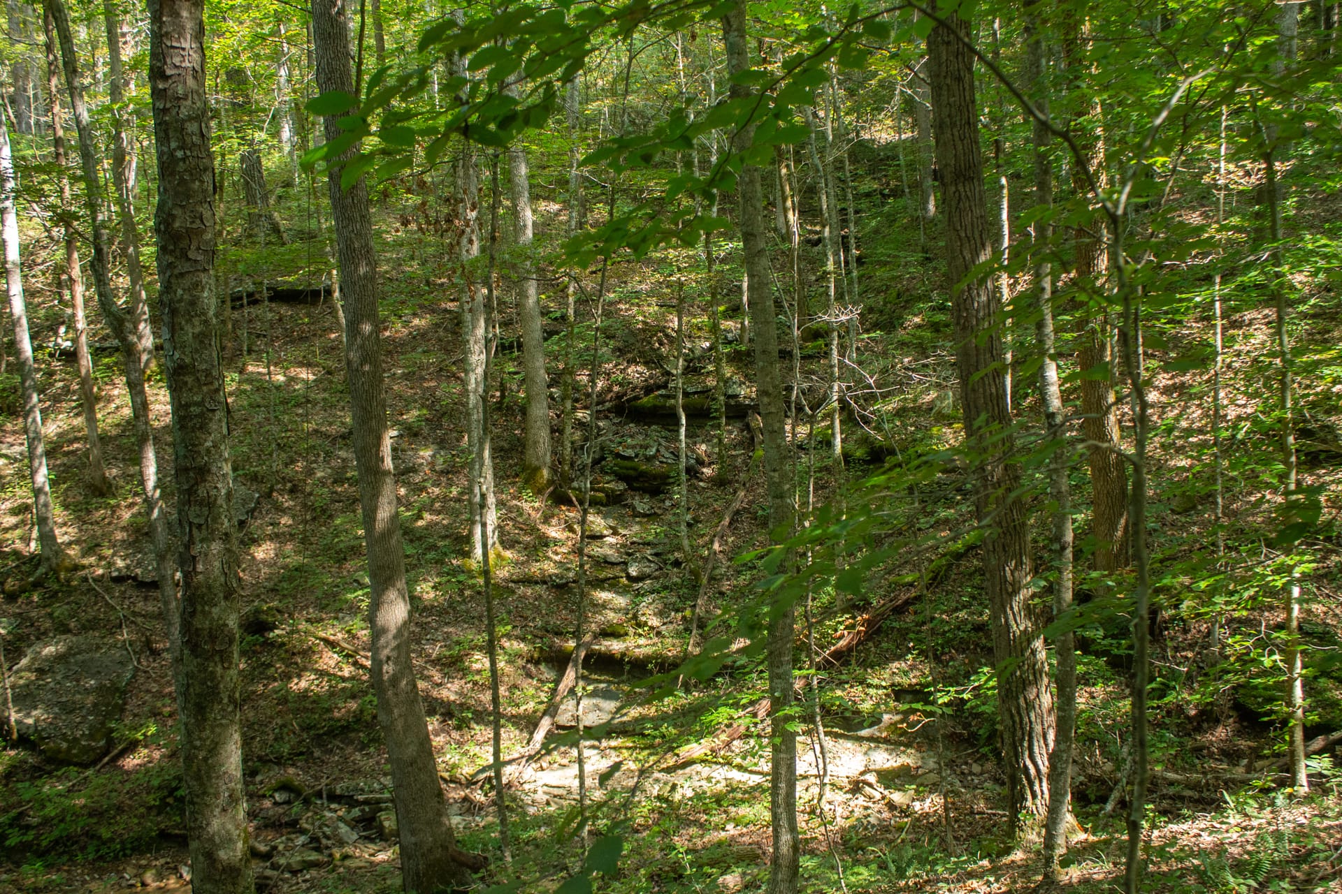 Bluegrass Ridge Tract 2 photo 8
