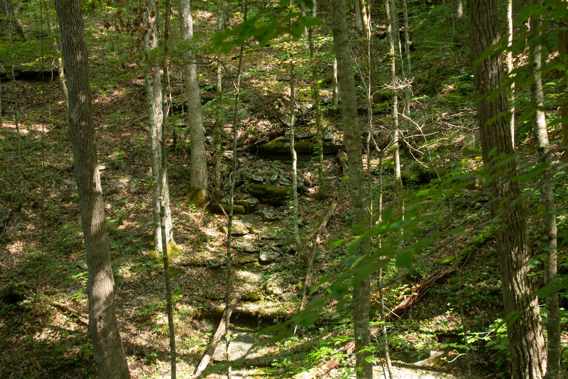 Bluegrass Ridge Tract 2 photo 10