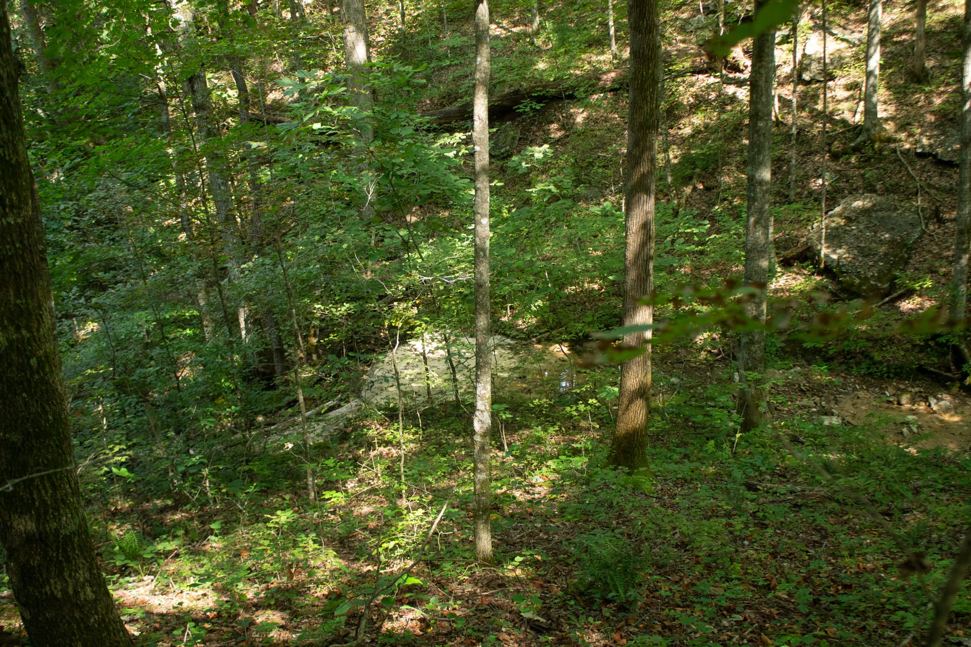 Bluegrass Ridge Tract 2 photo 11