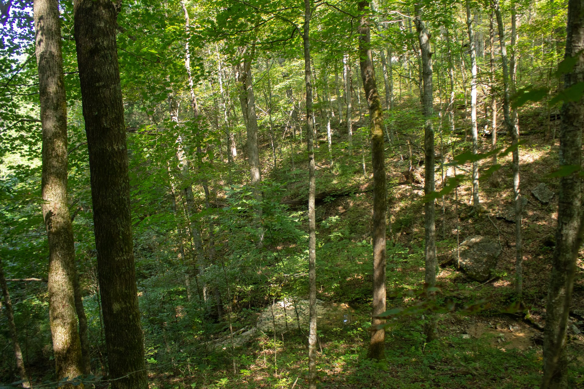Bluegrass Ridge Tract 2 photo 13