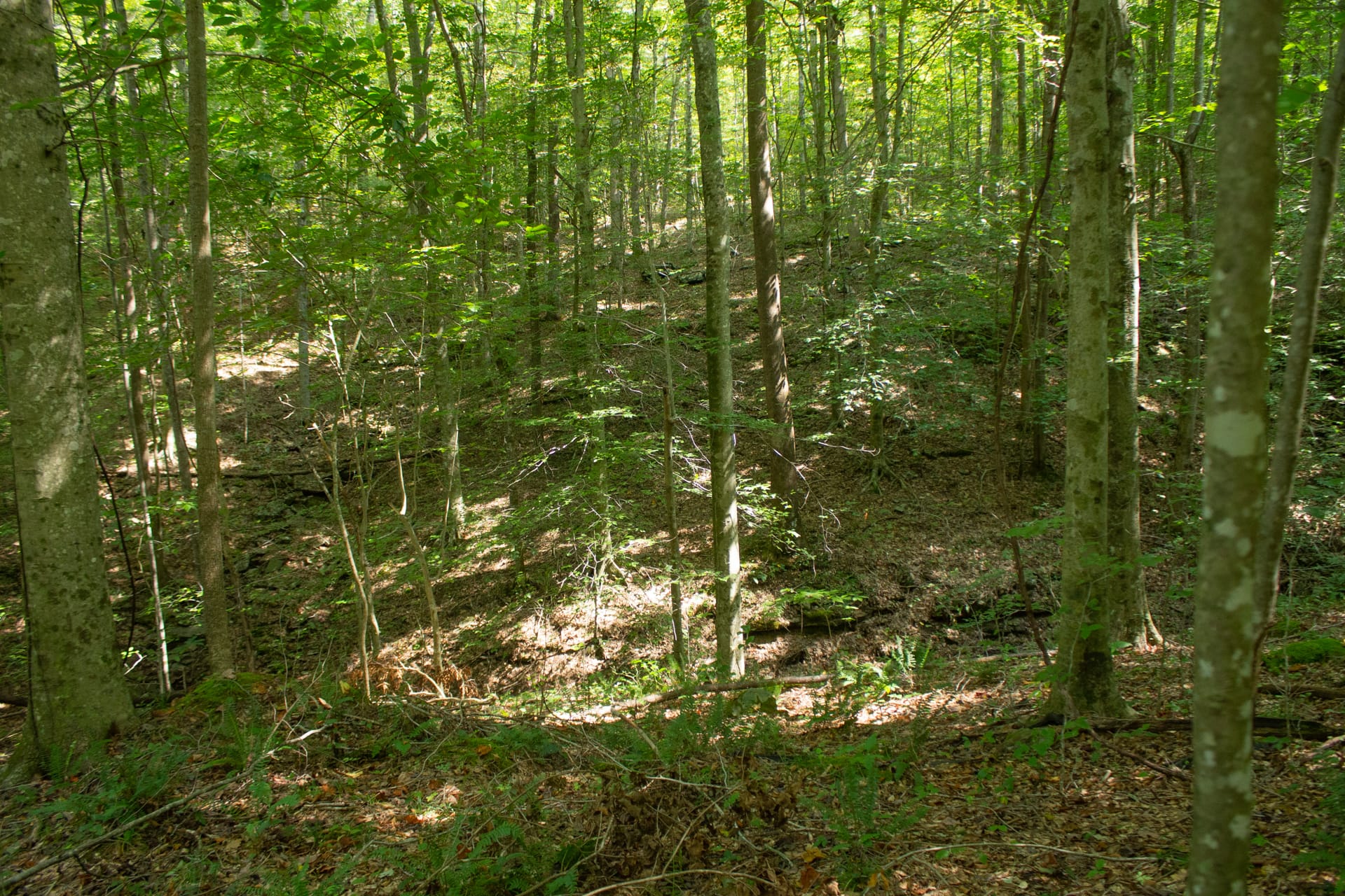 Bluegrass Ridge Tract 2 photo 20