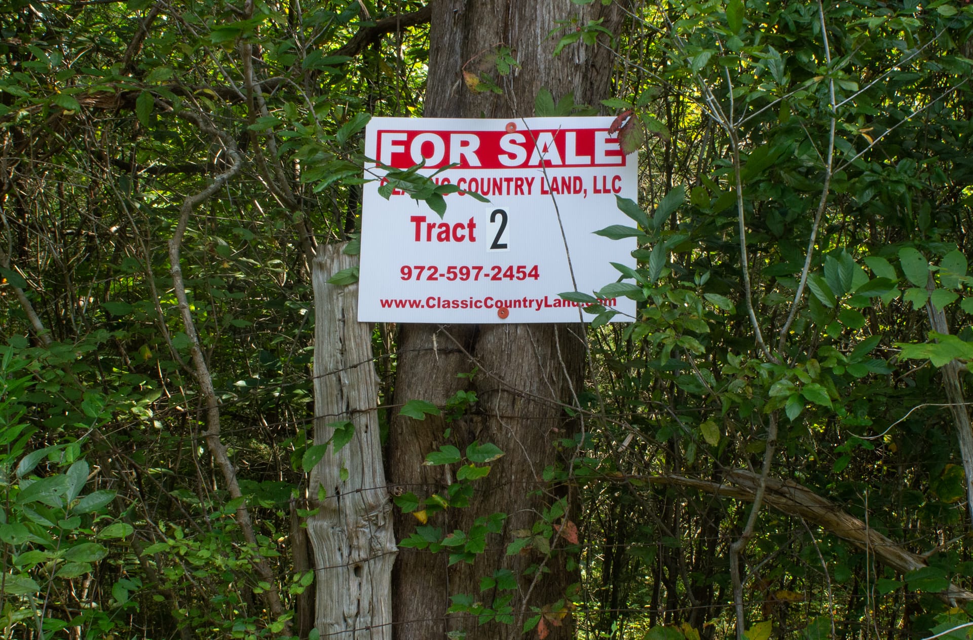 Bluegrass Ridge Tract 2 photo 1