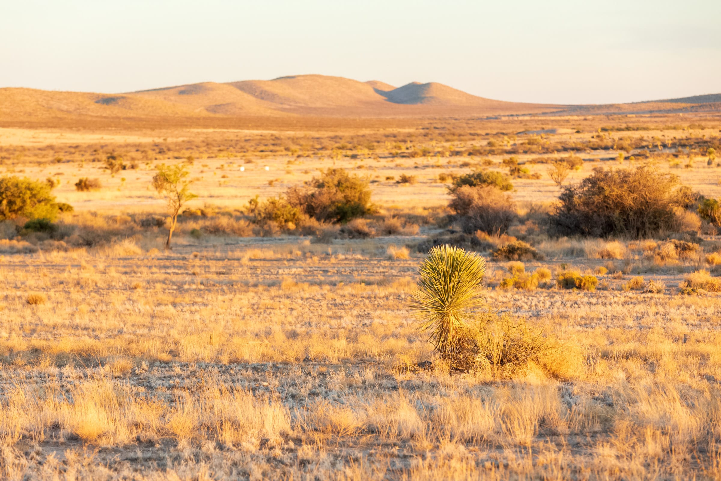 Sunrise Ranches Phase III Tract 137 photo 5