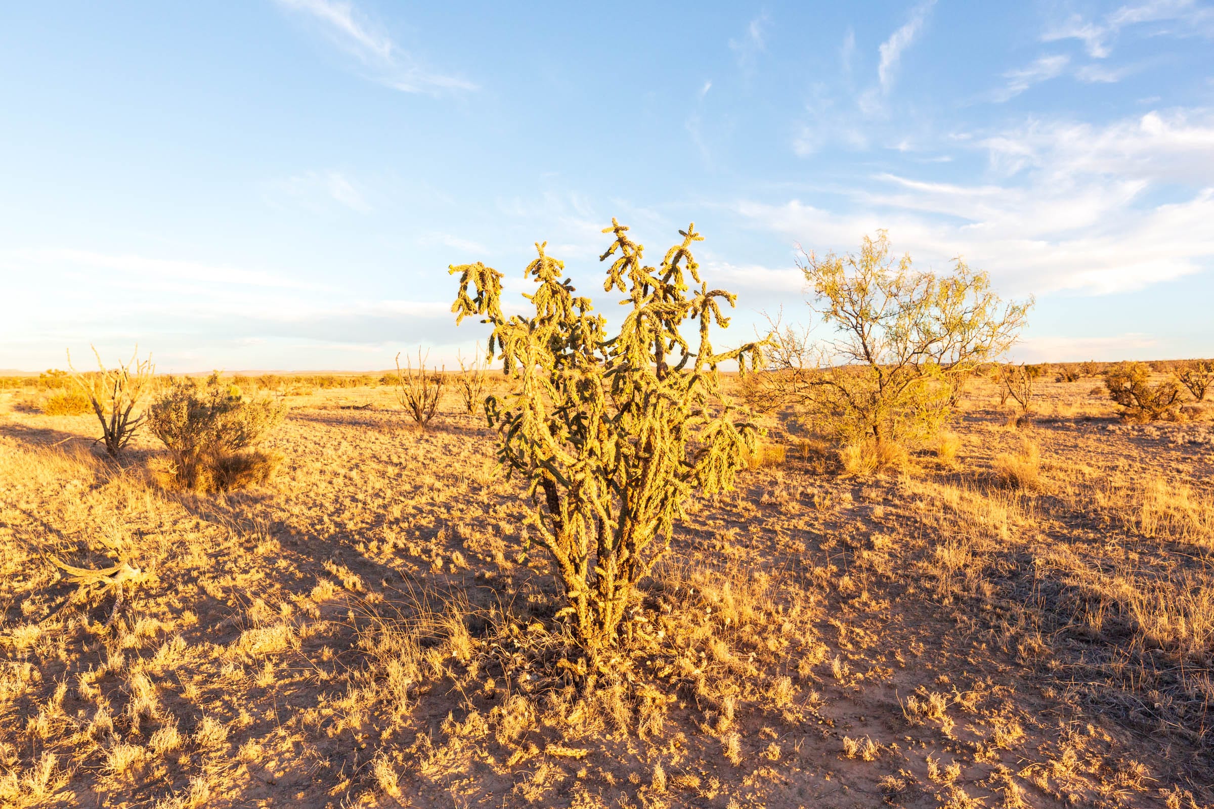 Sunrise Ranches Phase III Tract 137 photo 3