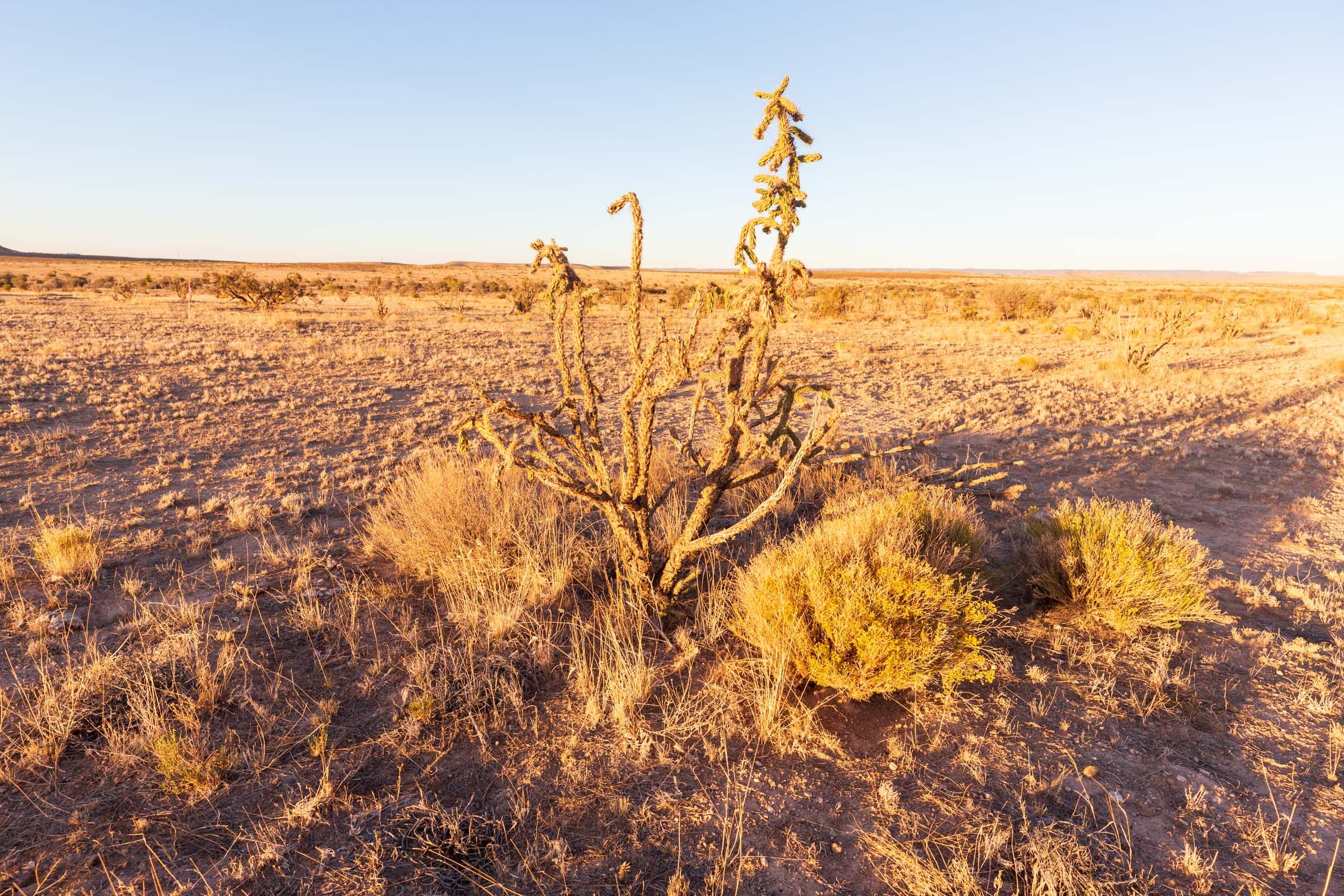 Sunrise Ranches Phase III Tract 137 photo 10