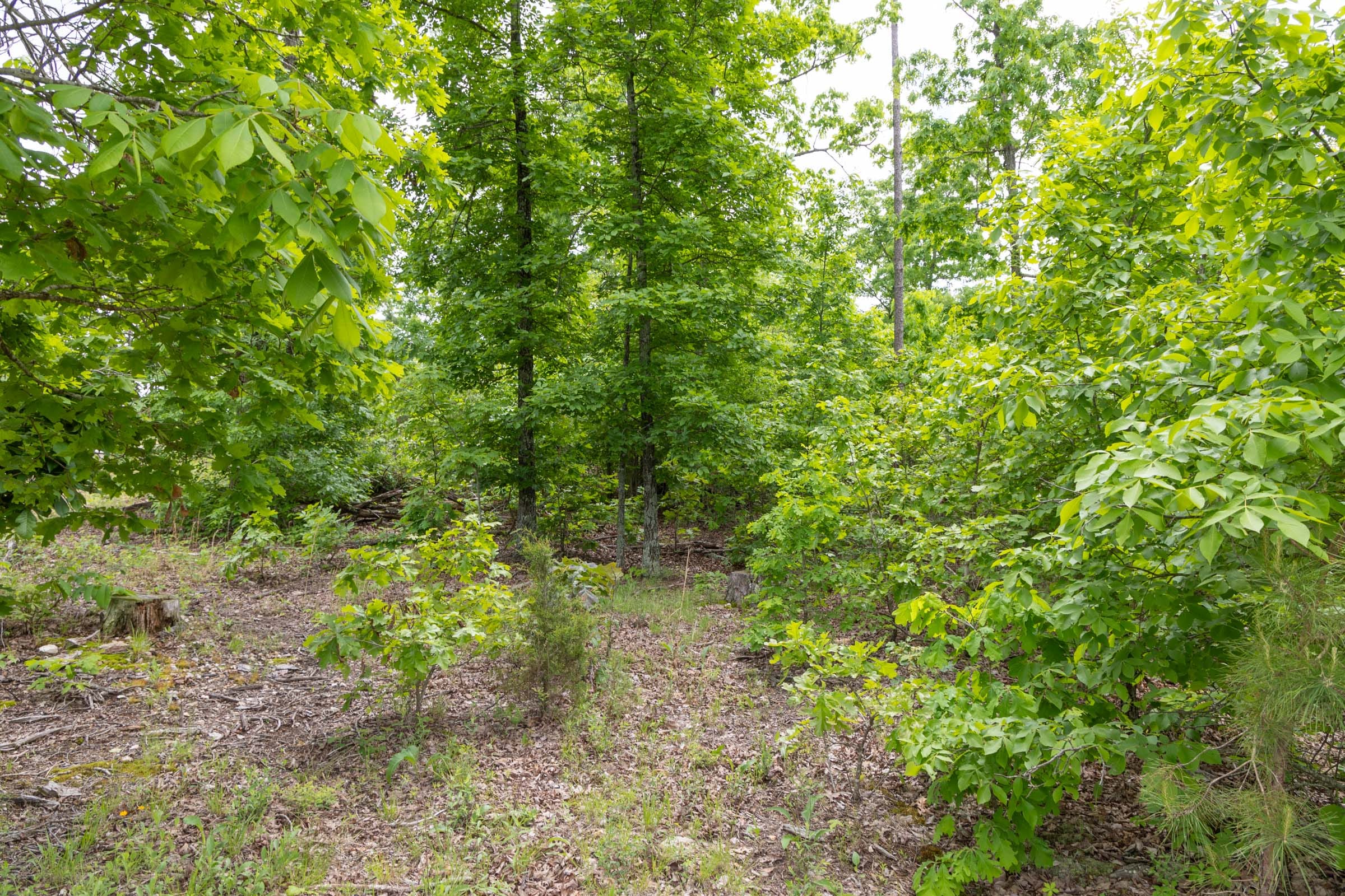 Sleepy Hollow Phase II Tract 80 photo 10