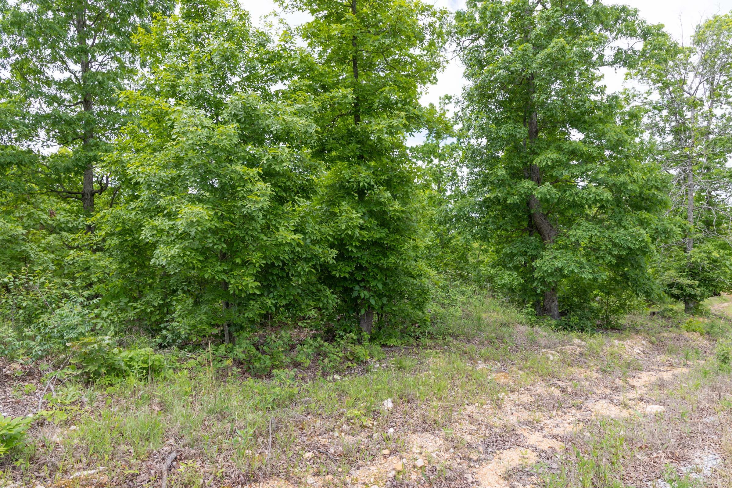 Sleepy Hollow Phase II Tract 80 photo 9