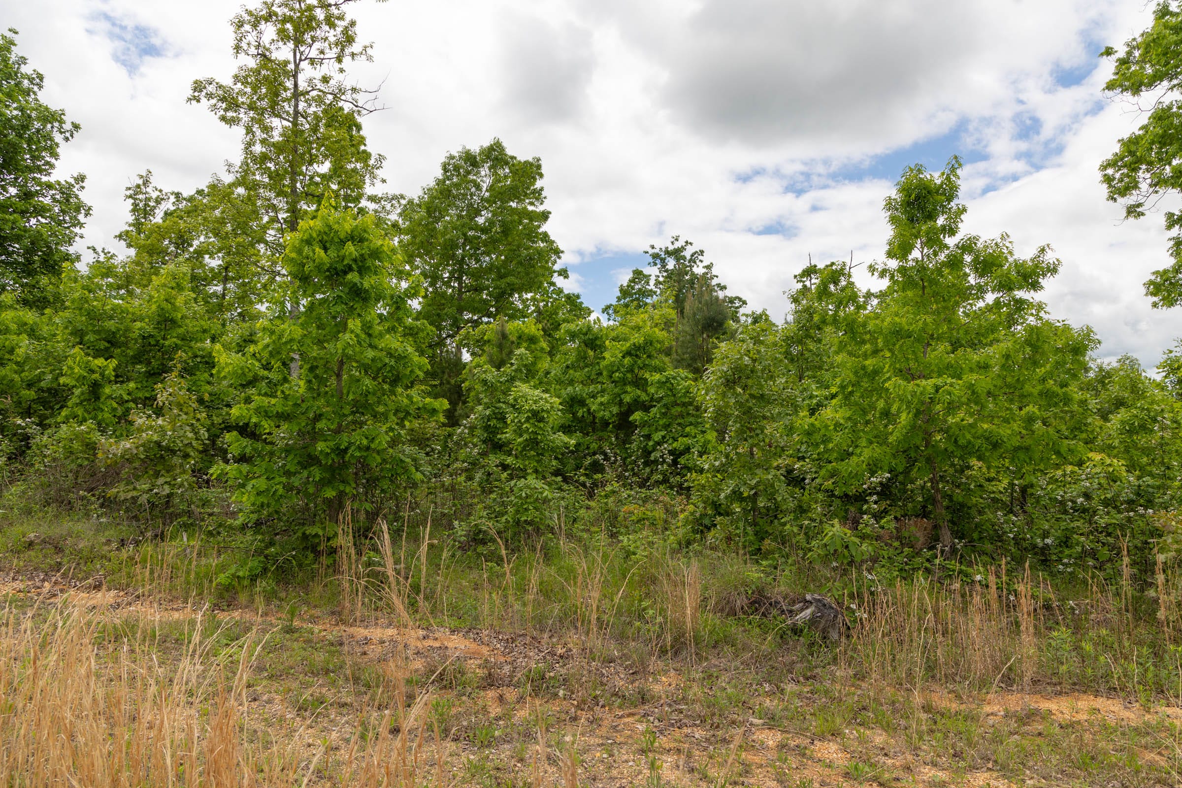 Sleepy Hollow Phase II Tract 80 photo 4