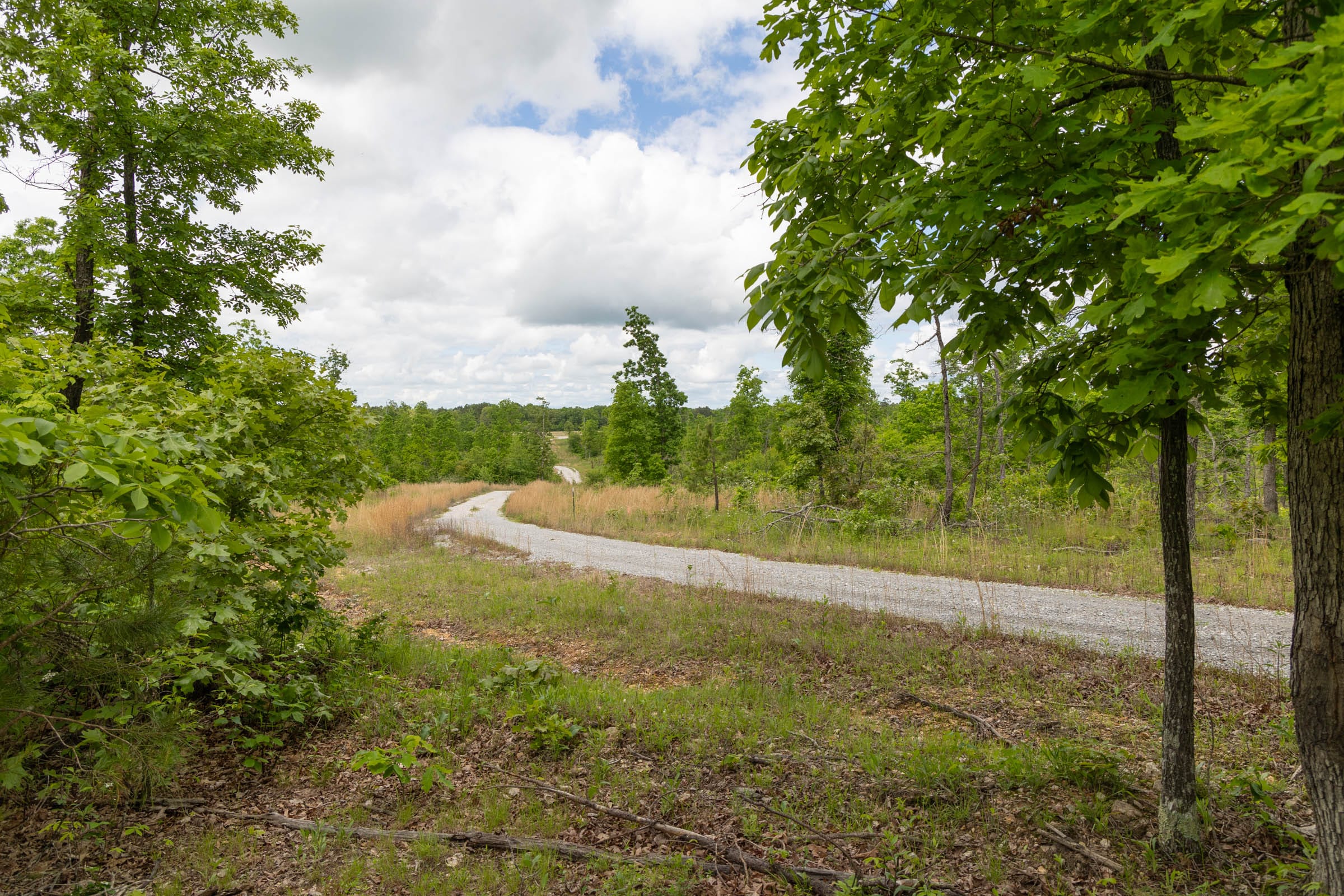 Sleepy Hollow Phase II Tract 80 photo 5