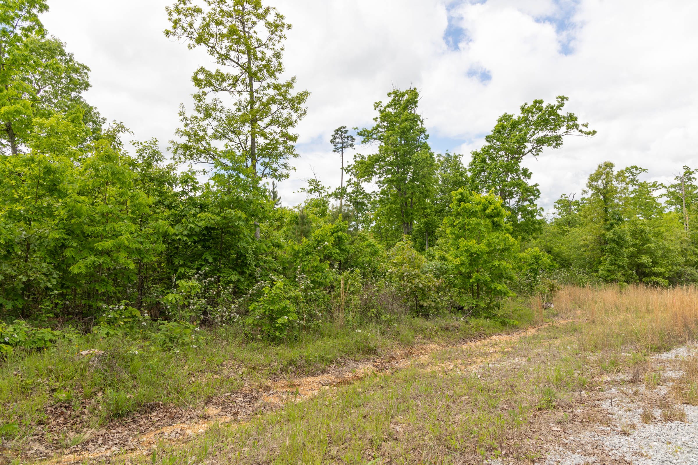 Sleepy Hollow Phase II Tract 80 photo 7