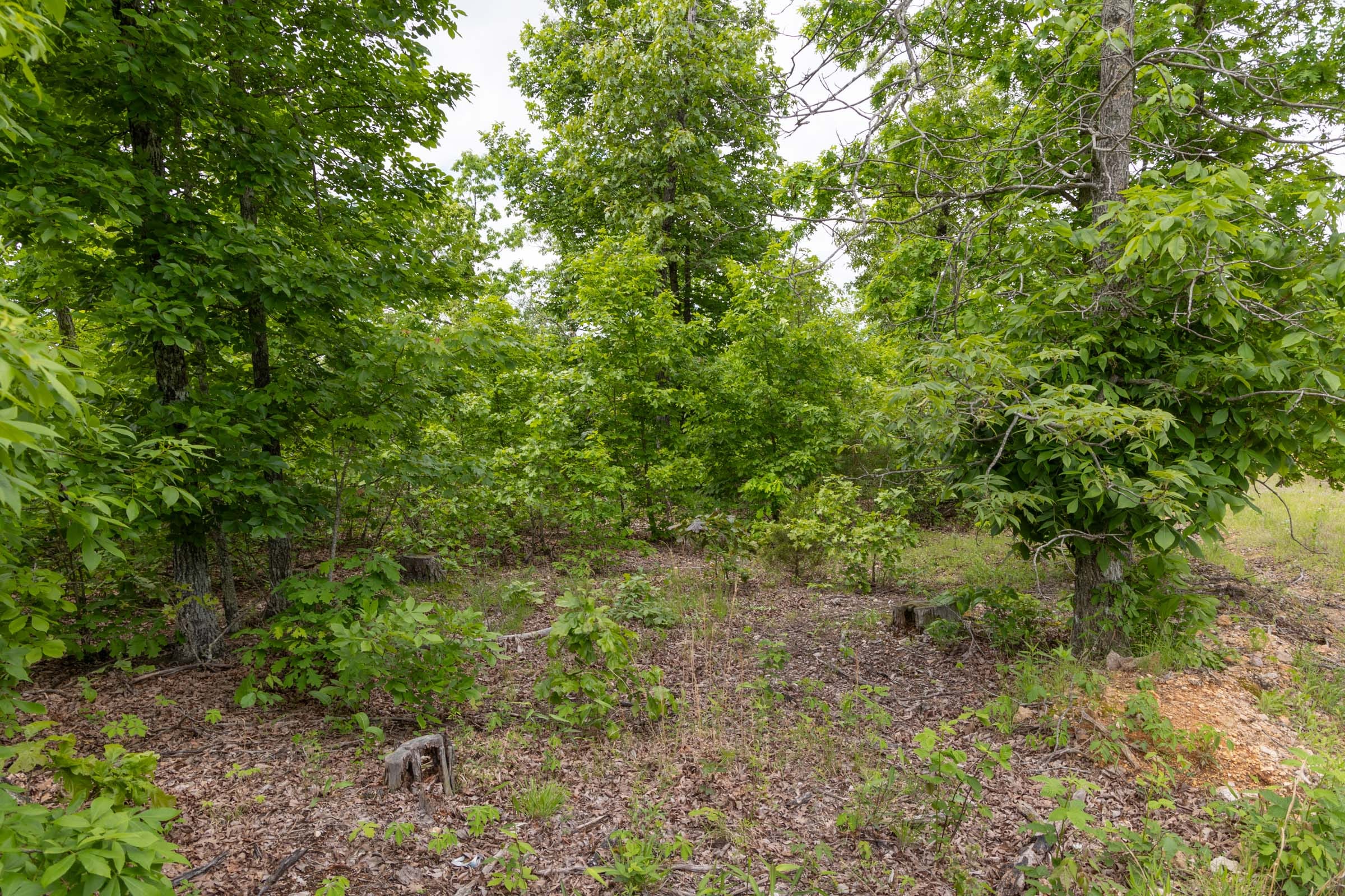 Sleepy Hollow Phase II Tract 80 photo 6