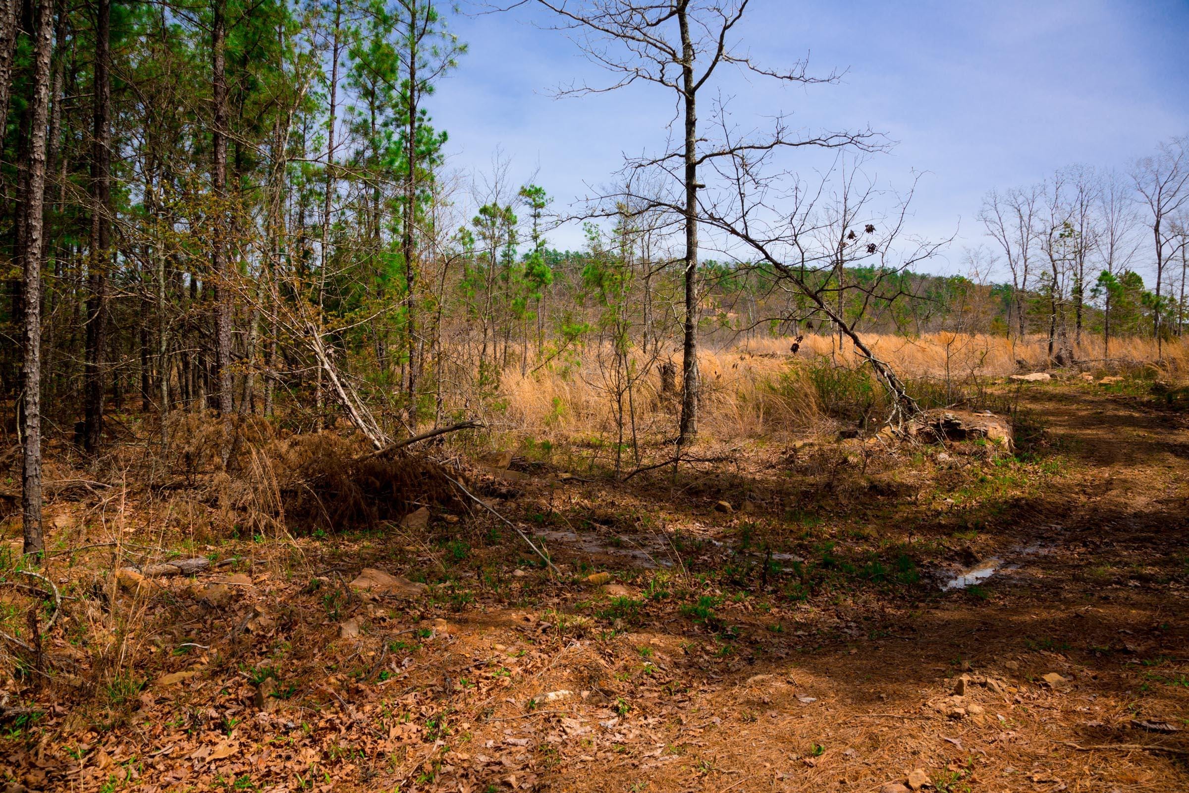 Stone Creek Phase II Tract 197 photo 2