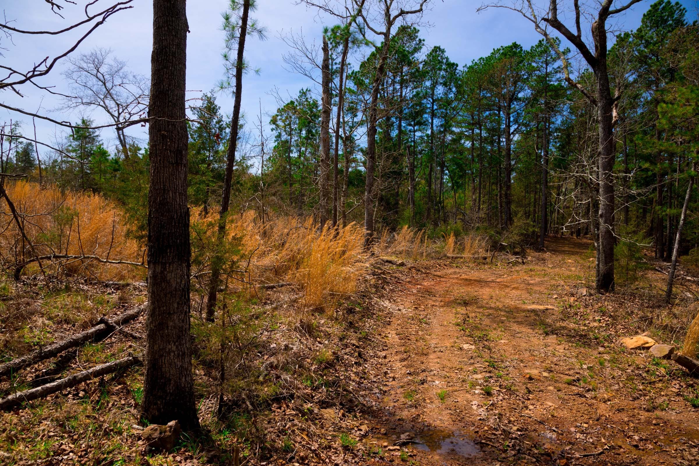 Stone Creek Phase II Tract 197 photo 3
