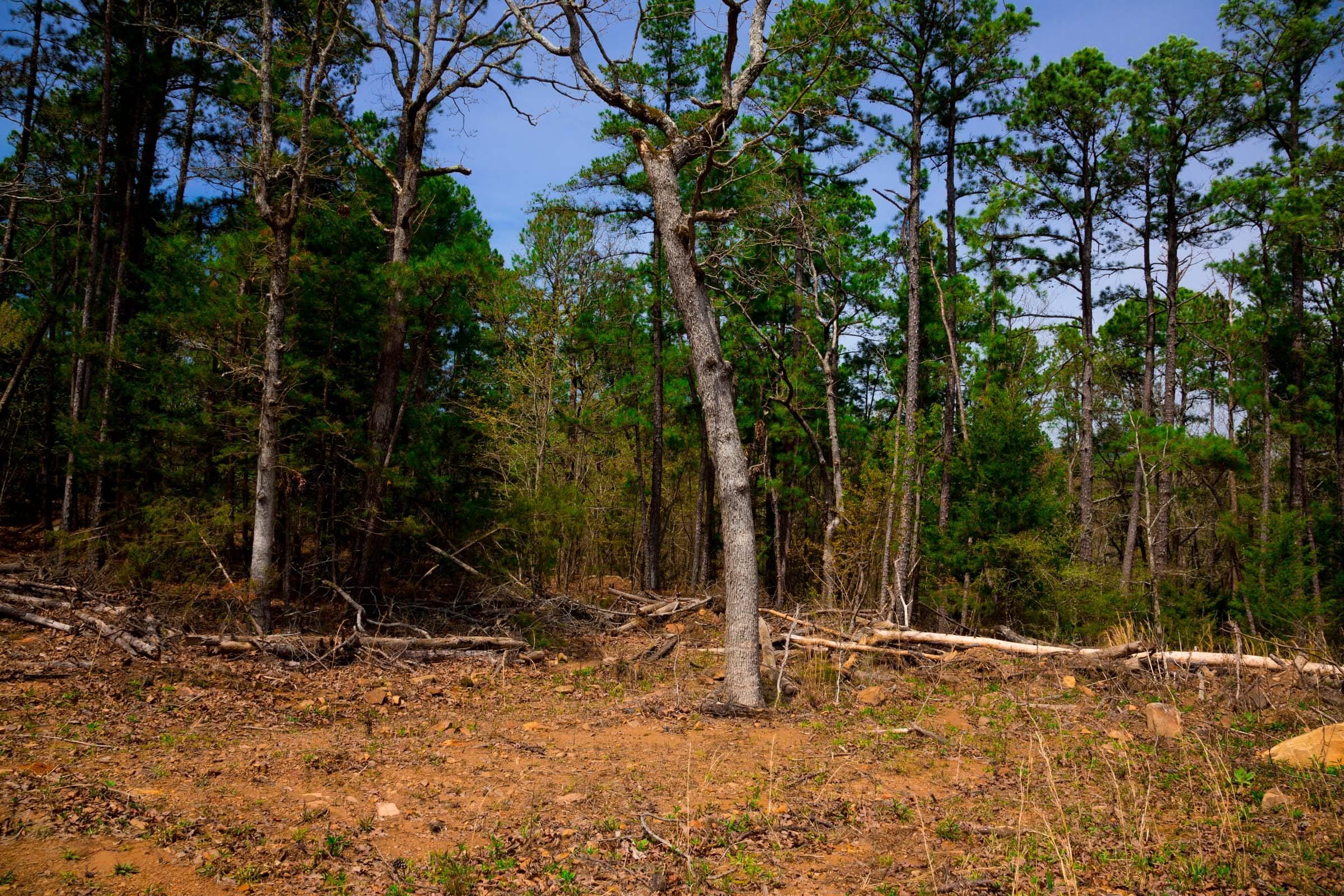 Stone Creek Phase II Tract 197 photo 4