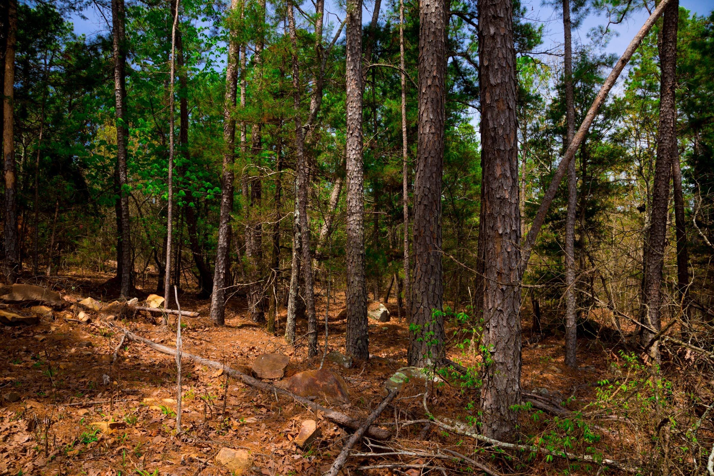 Stone Creek Phase II Tract 197 photo 5