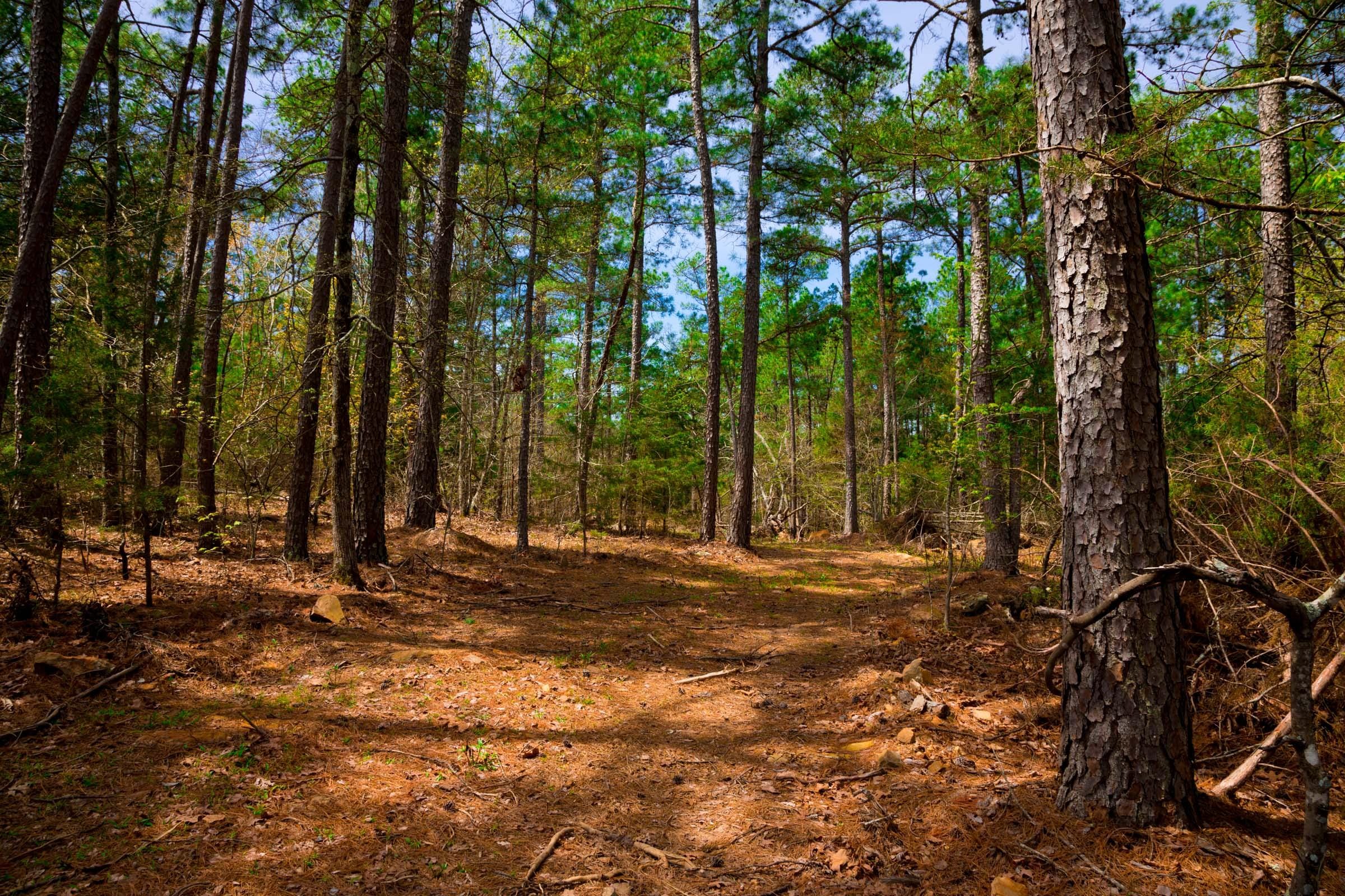Stone Creek Phase II Tract 197 photo 6