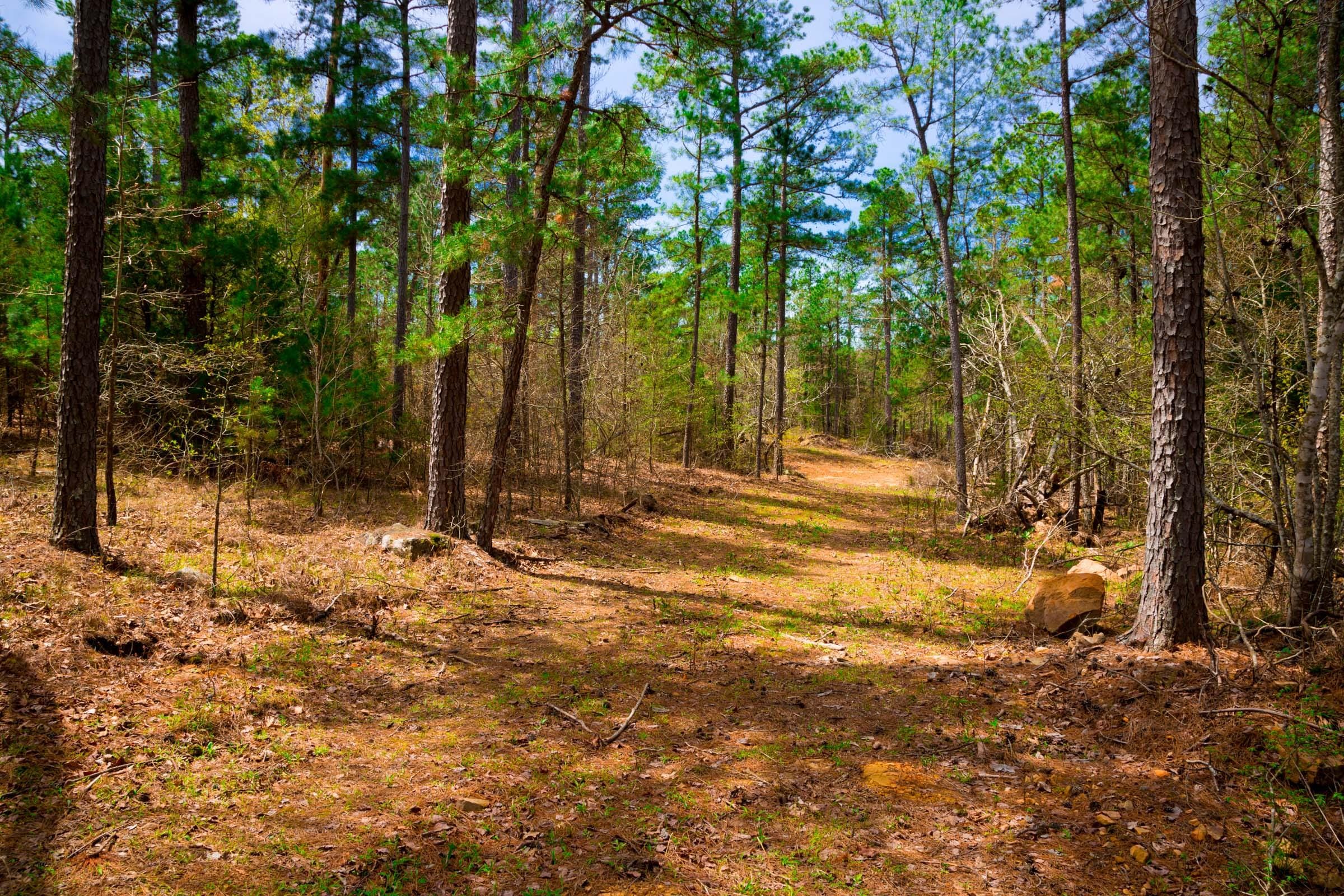 Stone Creek Phase II Tract 197 photo 7