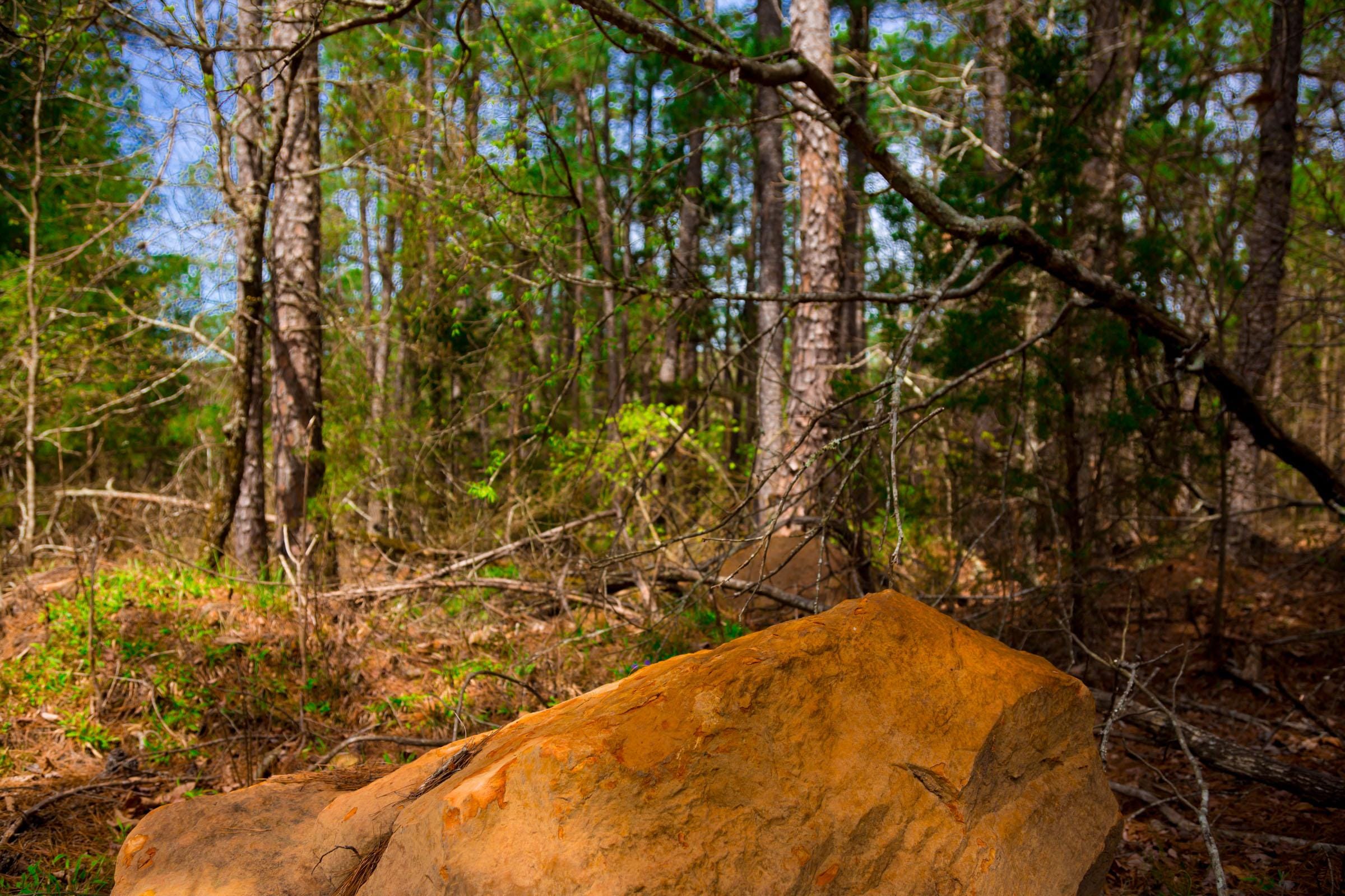 Stone Creek Phase II Tract 197 photo 8
