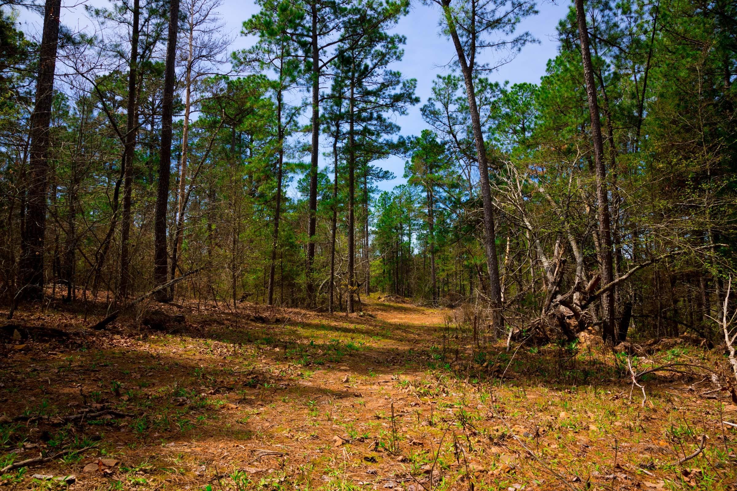 Stone Creek Phase II Tract 197 photo 9