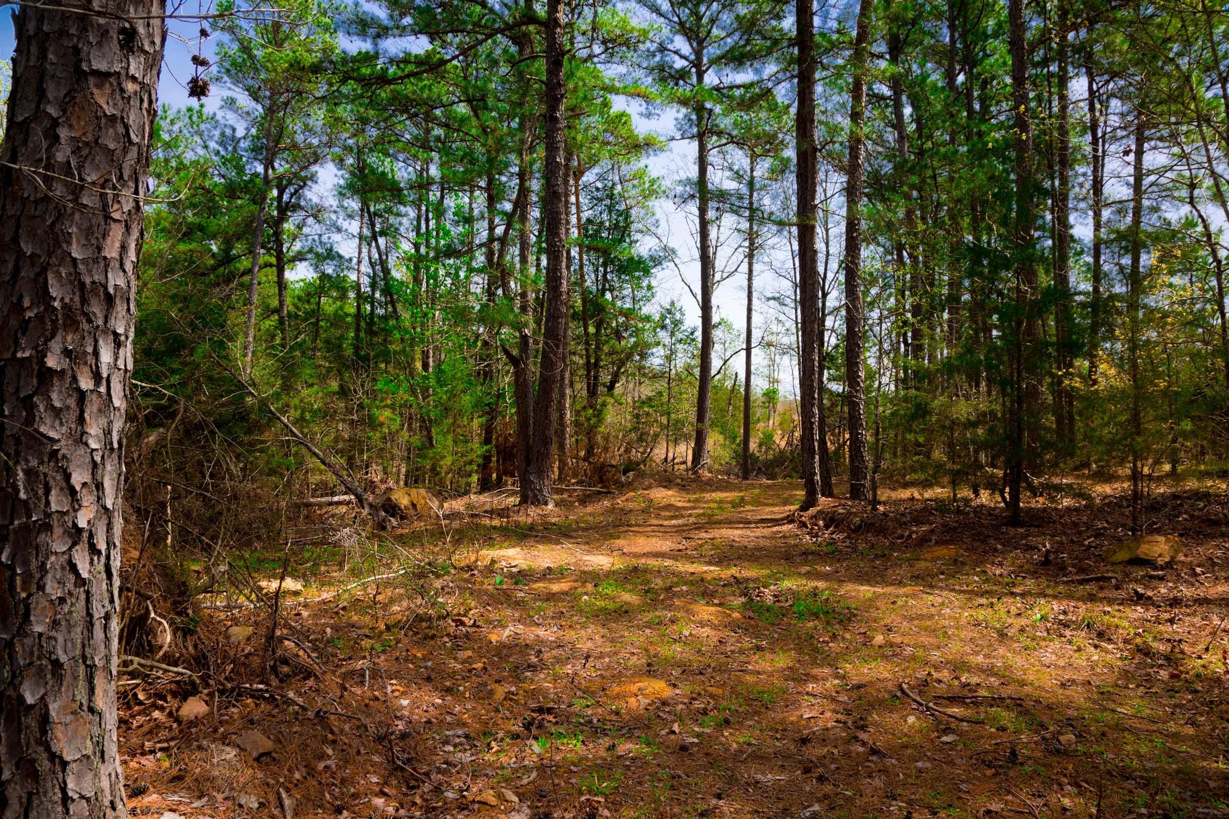 Stone Creek Phase II Tract 197 photo 10