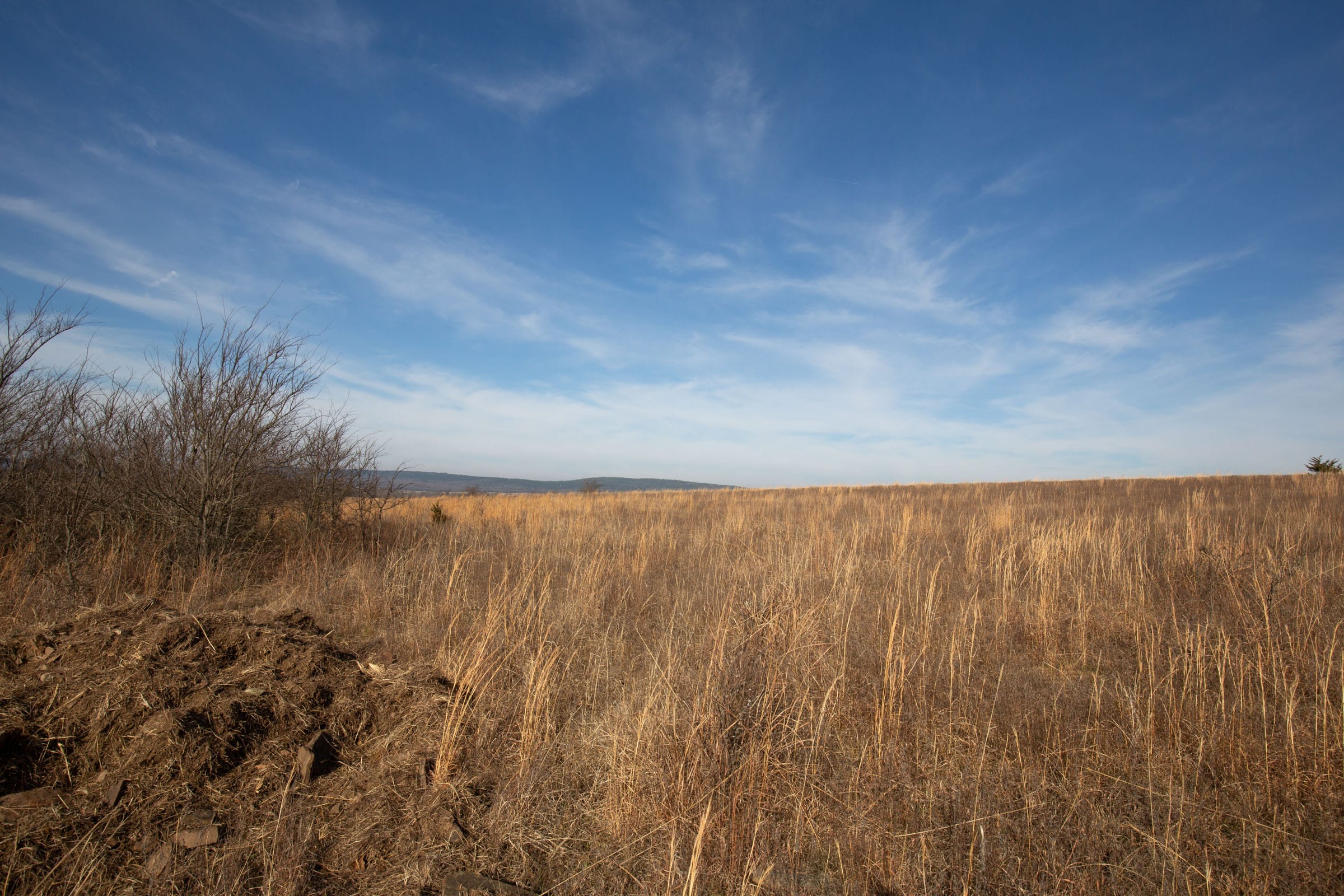 Painted Horse Tract 13 photo 8