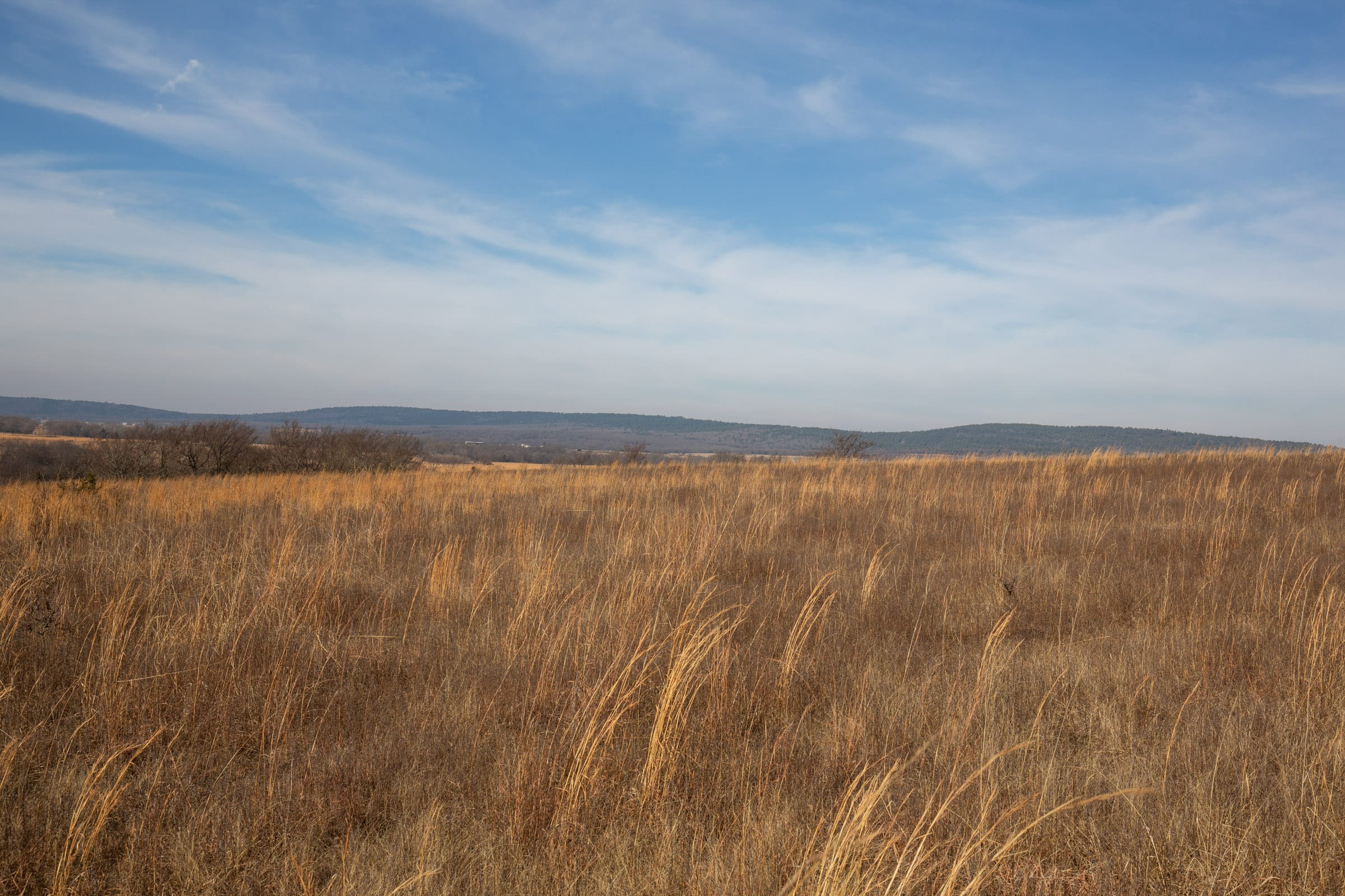 Painted Horse Tract 13 photo 3