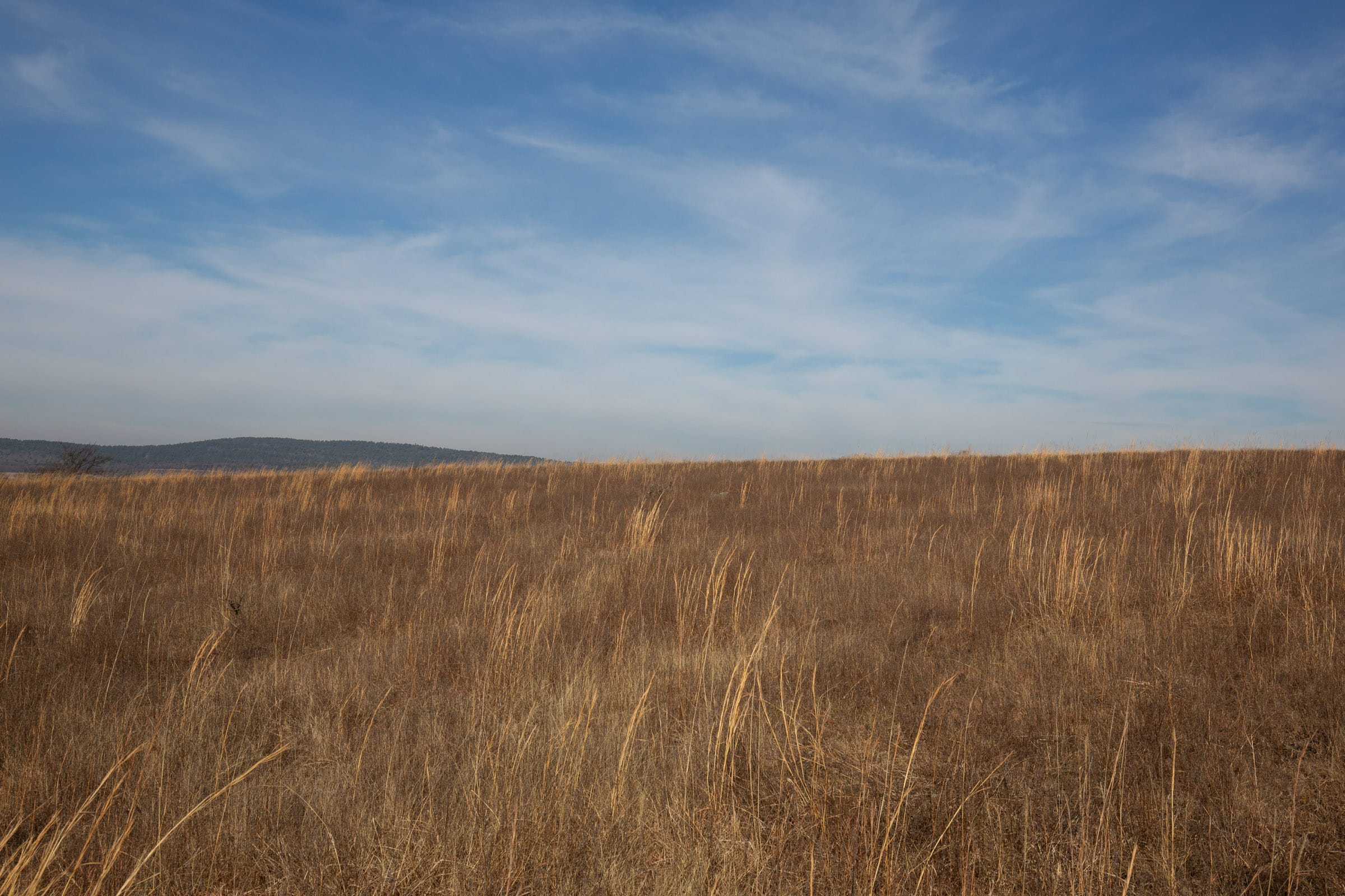 Painted Horse Tract 13 photo 10