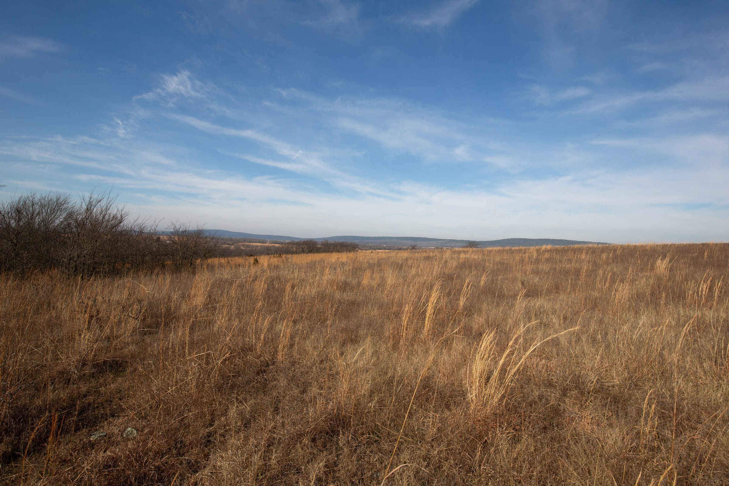 Painted Horse Tract 13 photo 4