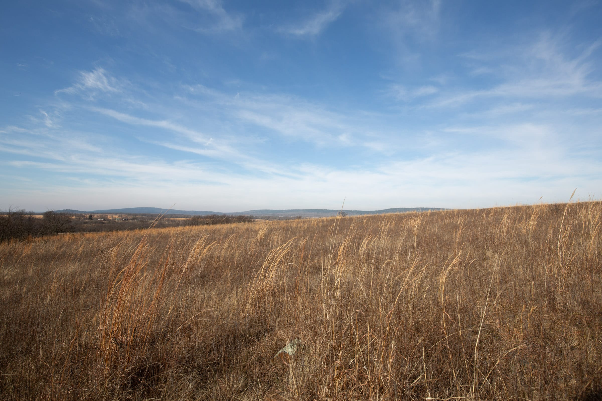 Painted Horse Tract 13 photo 6