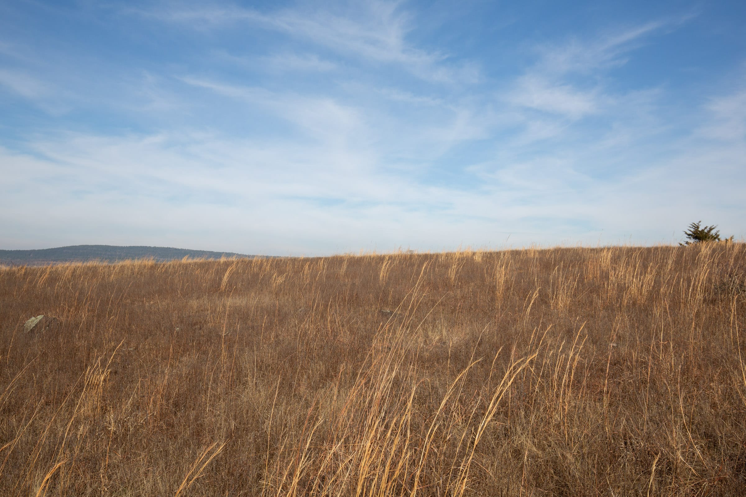 Painted Horse Tract 13 photo 7