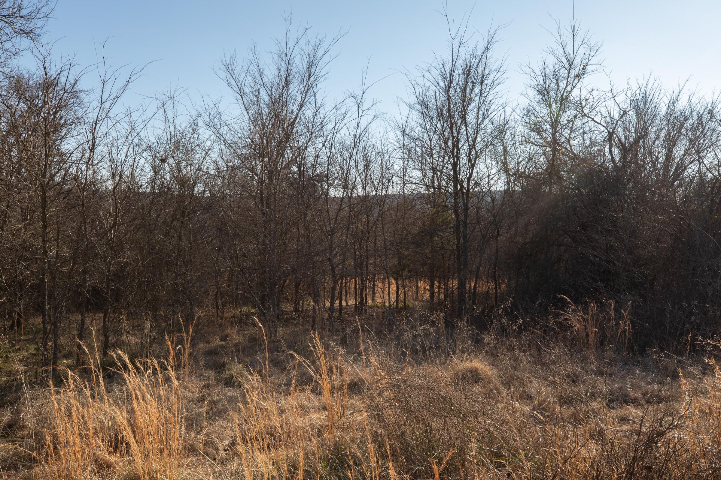 Painted Horse Tract 37 photo 2