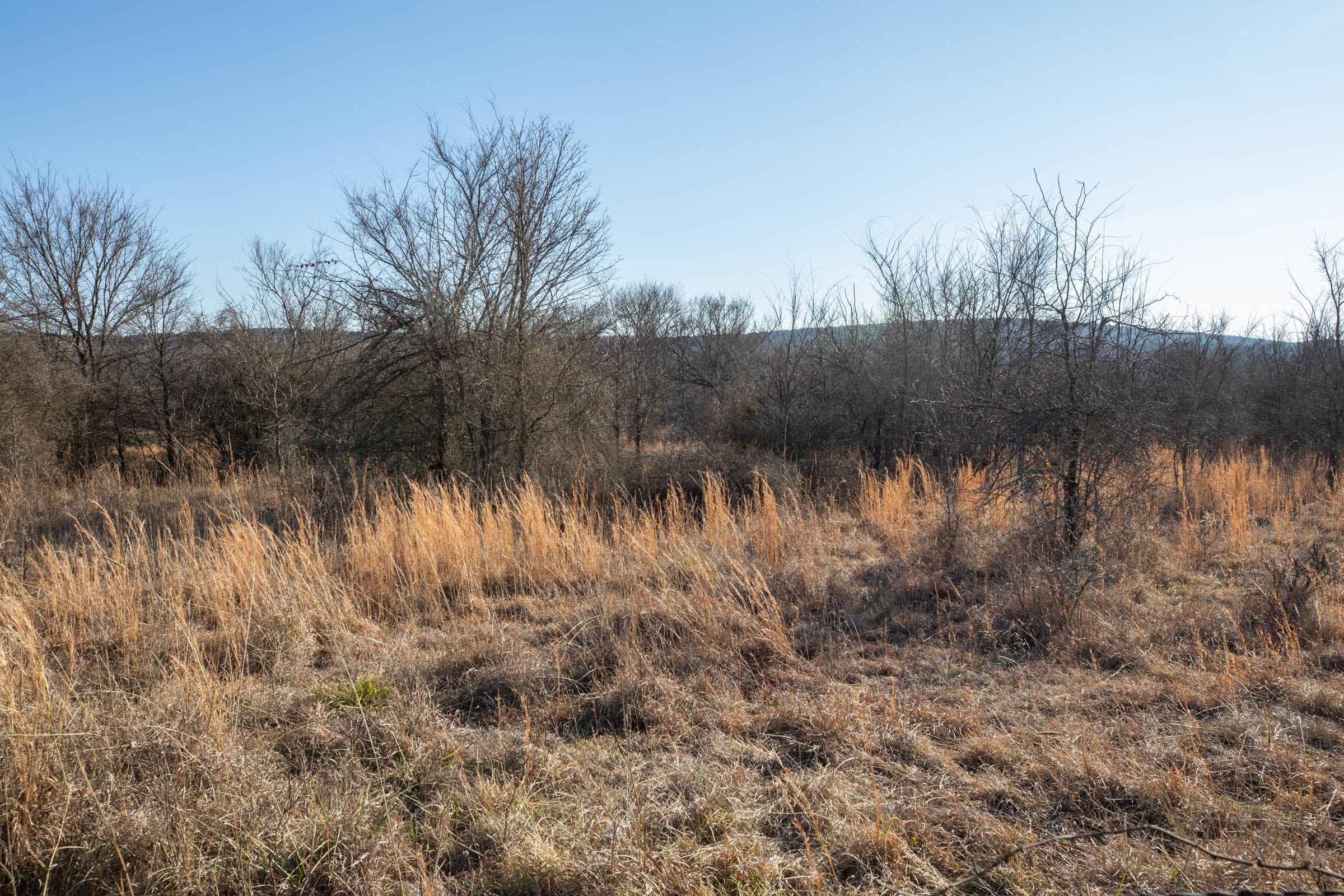 Painted Horse Tract 37 photo 4