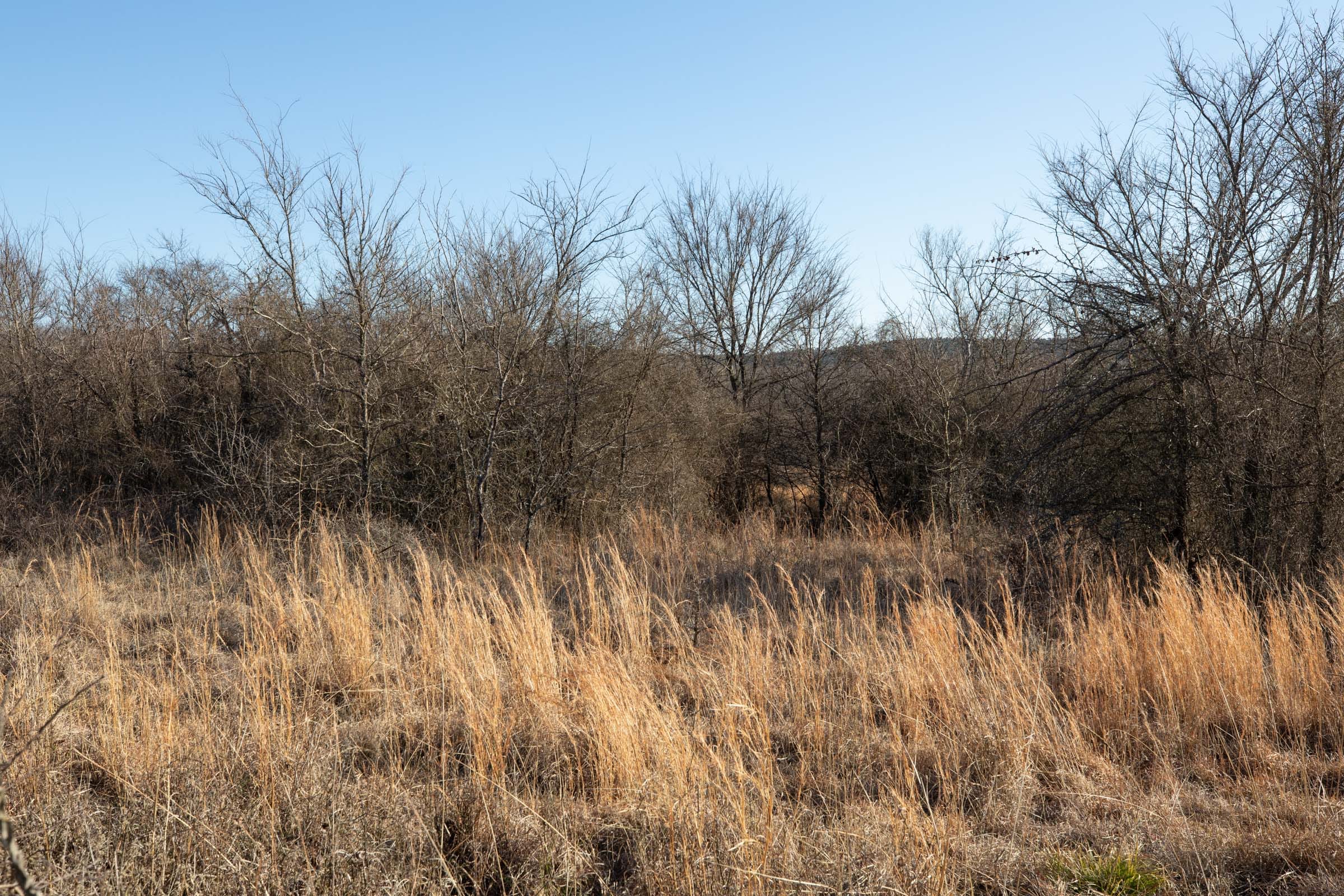 Painted Horse Tract 37 photo 5