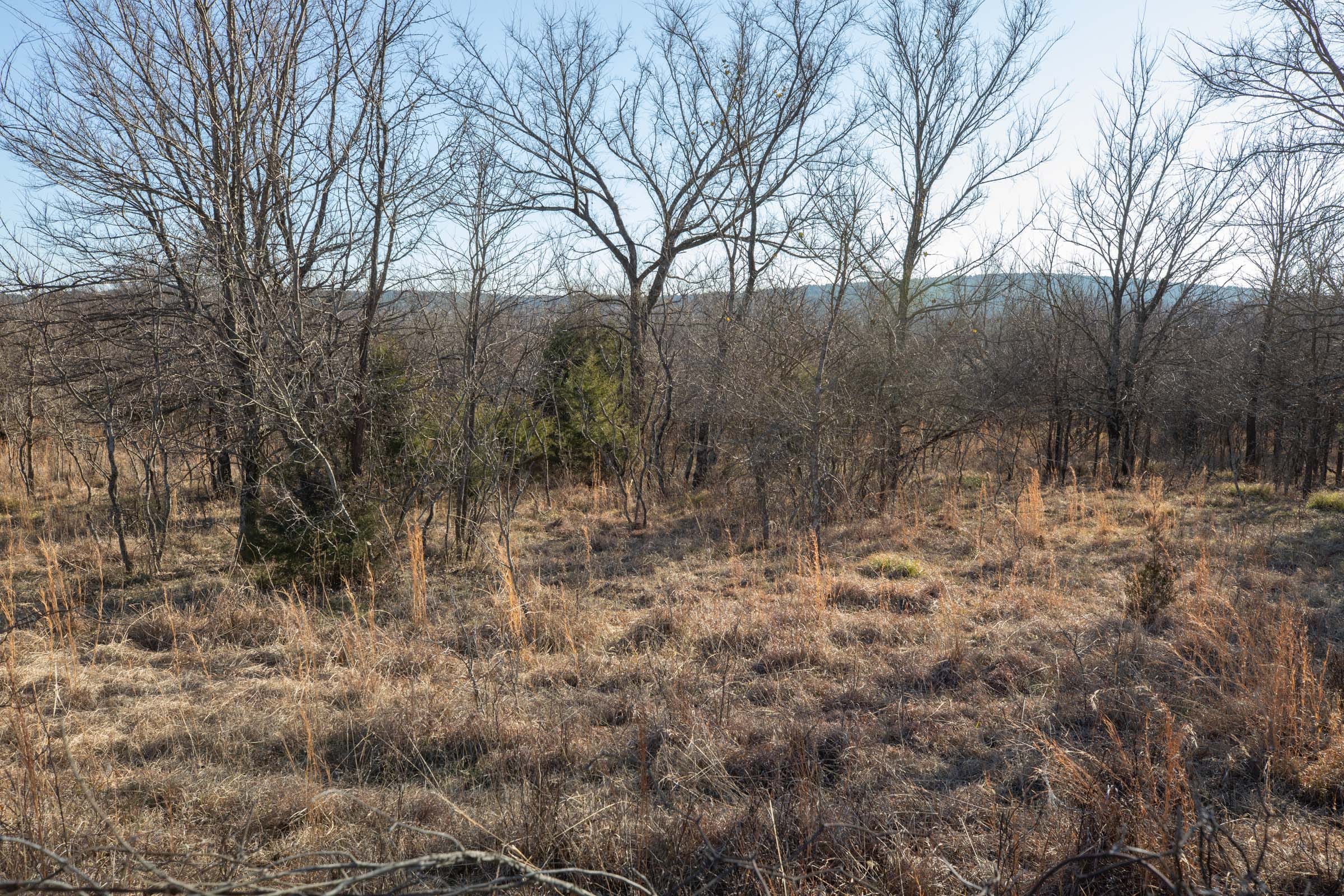 Painted Horse Tract 37 photo 7