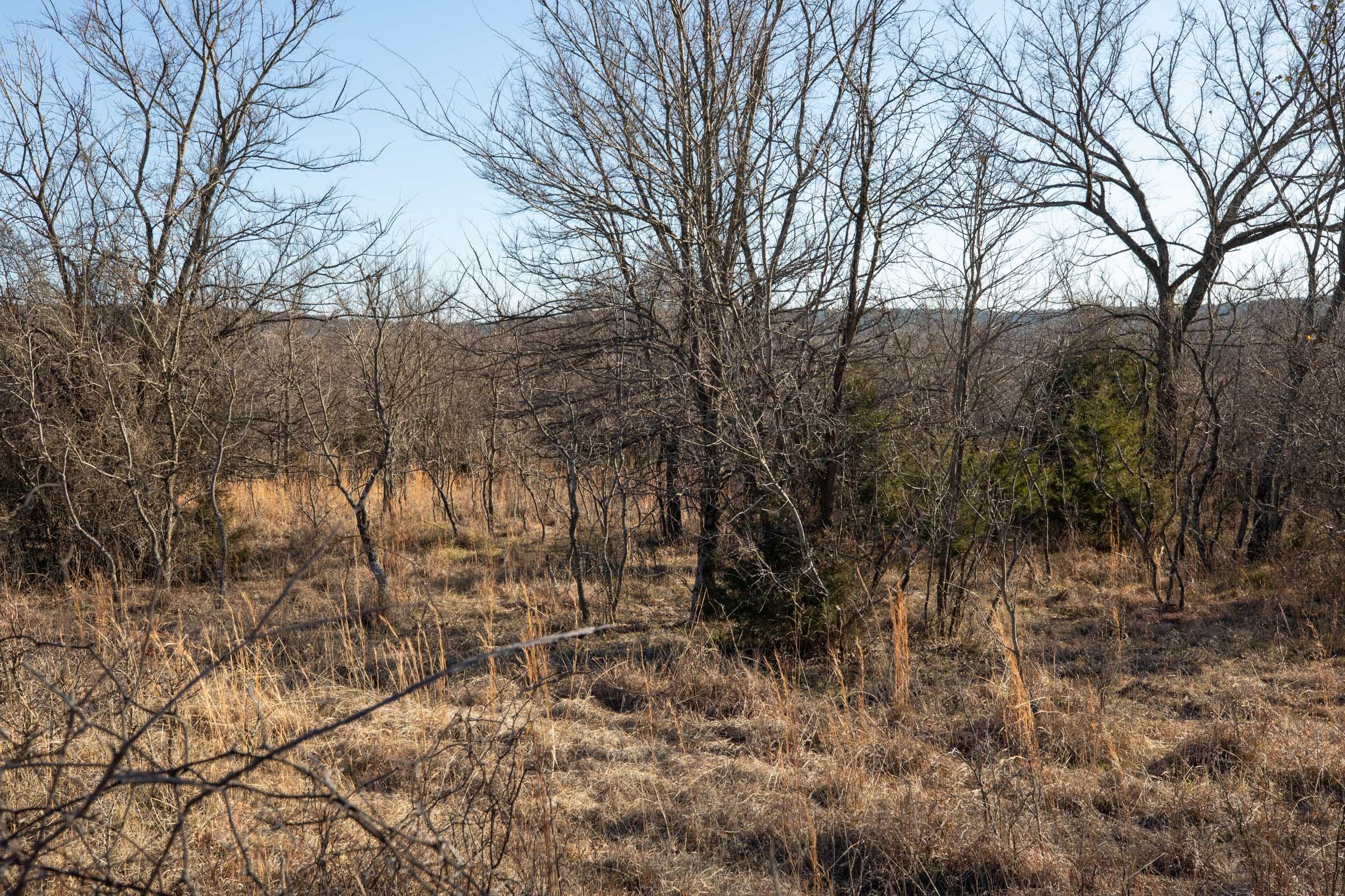 Painted Horse Tract 37 photo 8