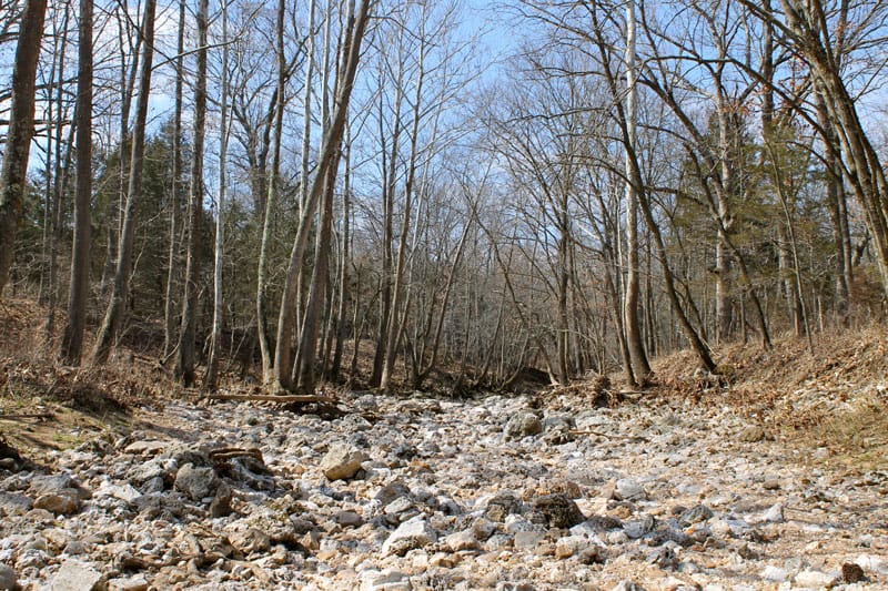 Cedar Ridge Ranch Tract 22 photo 1