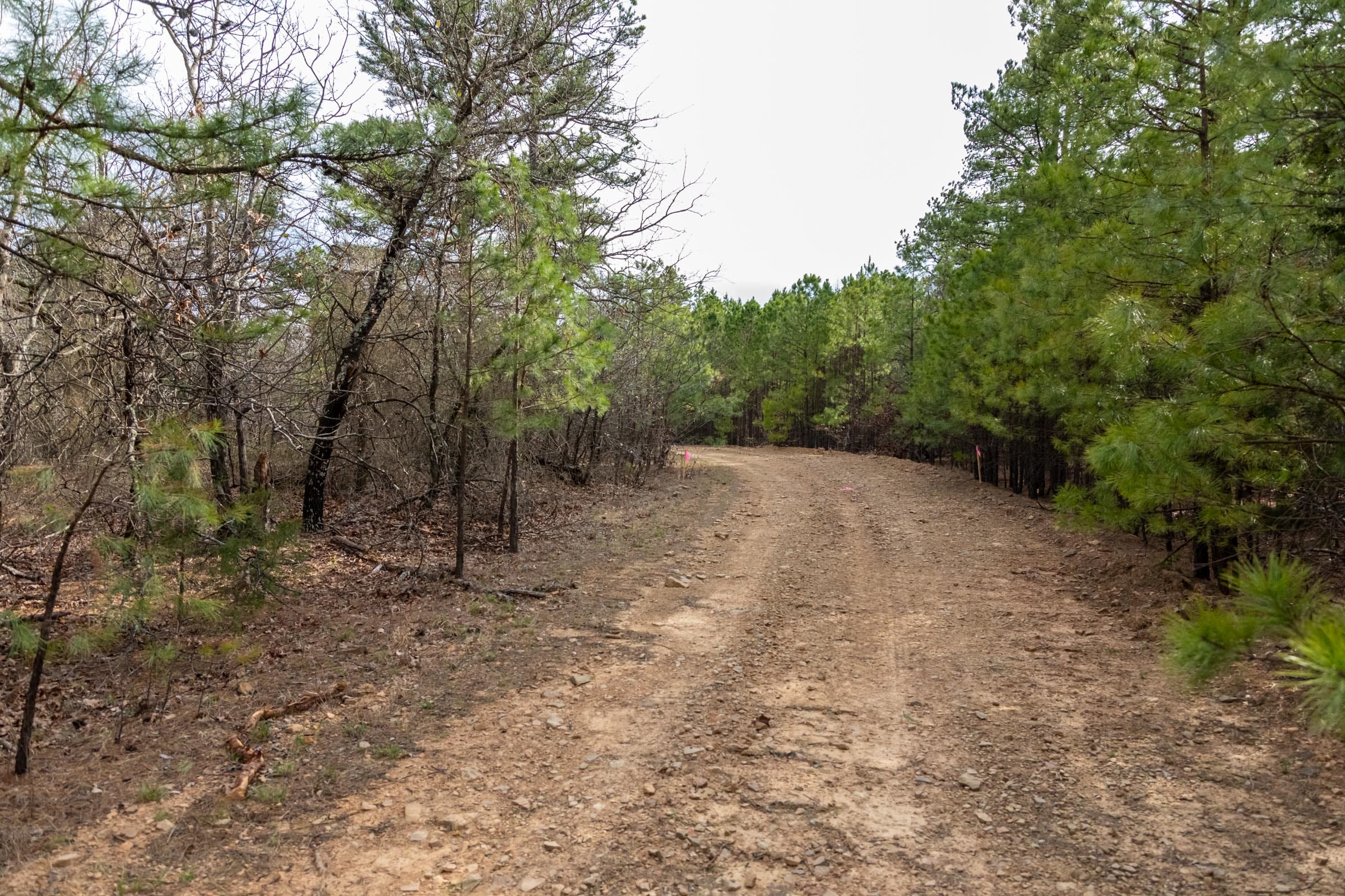 Stone Bridge Phase III Tract 182 photo 6