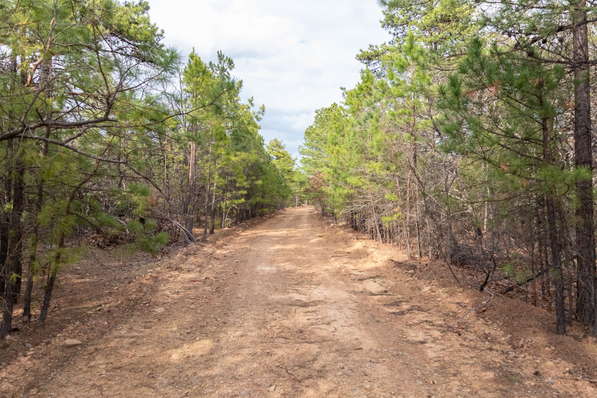 Stone Bridge Phase III Tract 182 photo 1