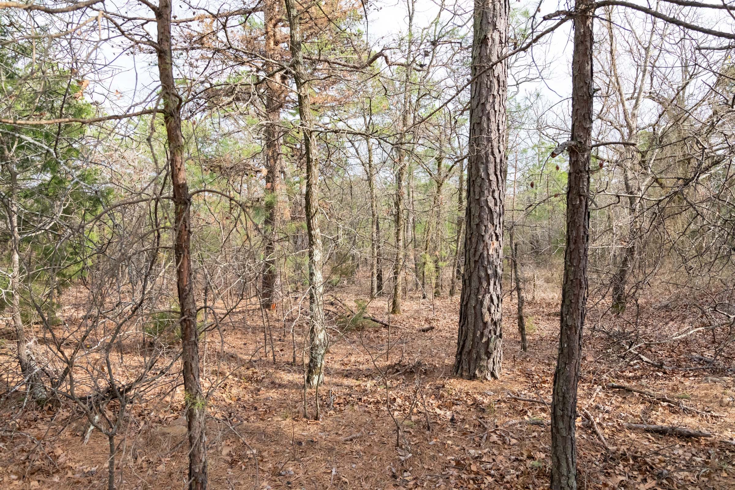 Stone Bridge Phase III Tract 182 photo 2