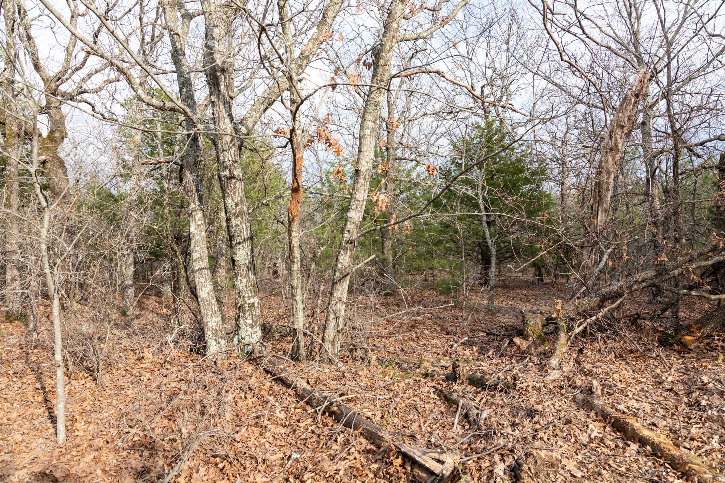 Stone Bridge Phase III Tract 182 photo 5