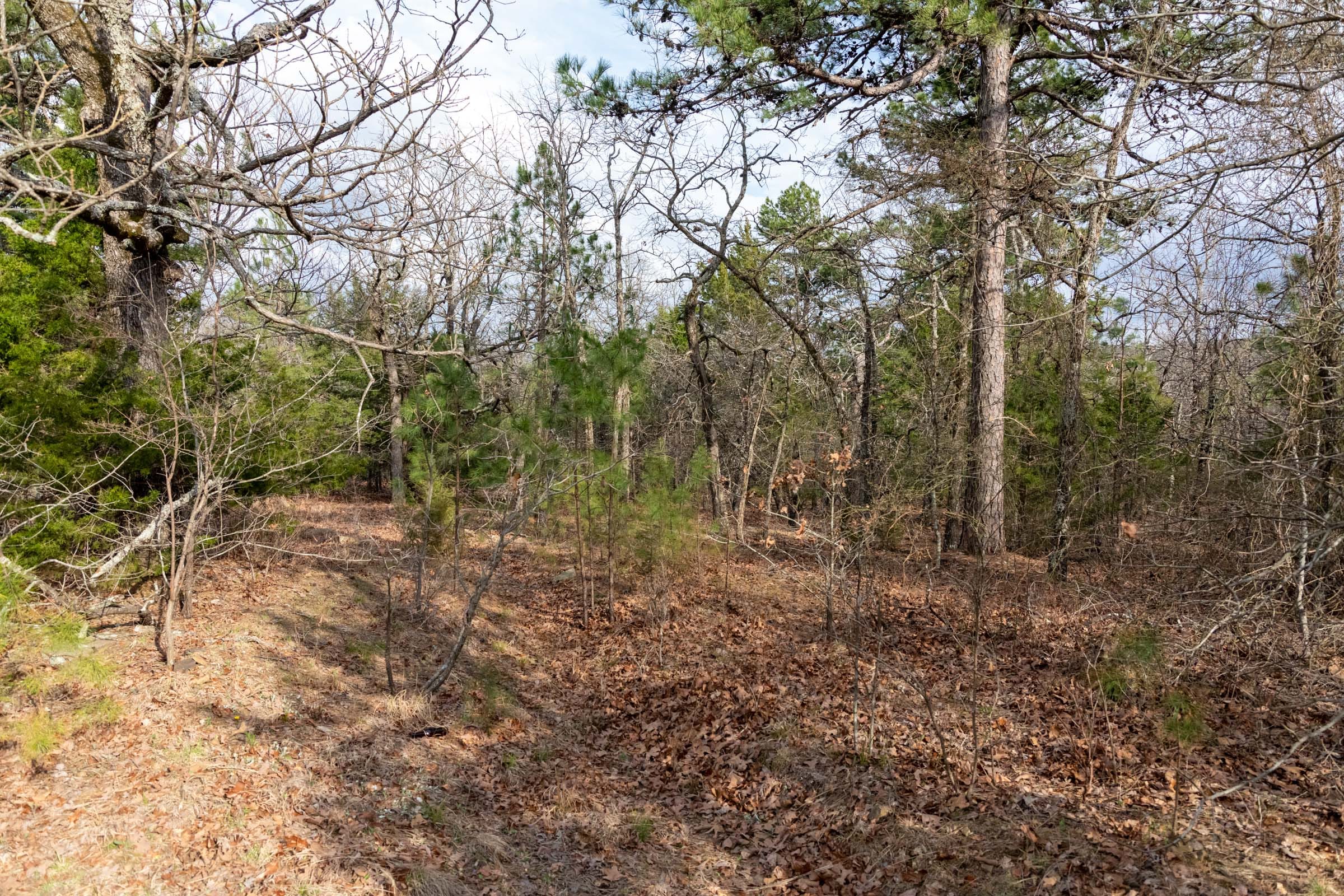Stone Bridge Phase III Tract 182 photo 7