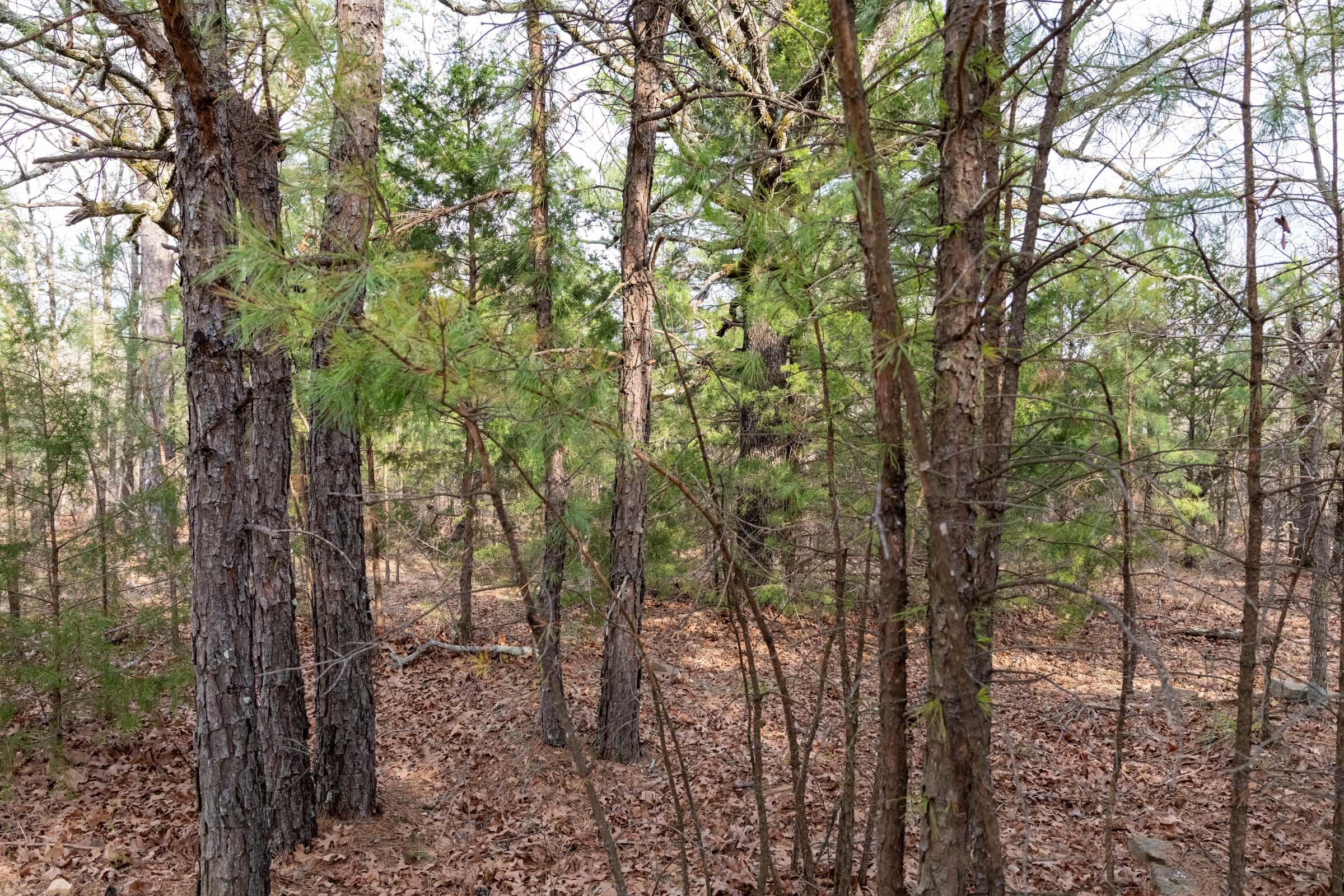 Stone Bridge Phase III Tract 182 photo 8